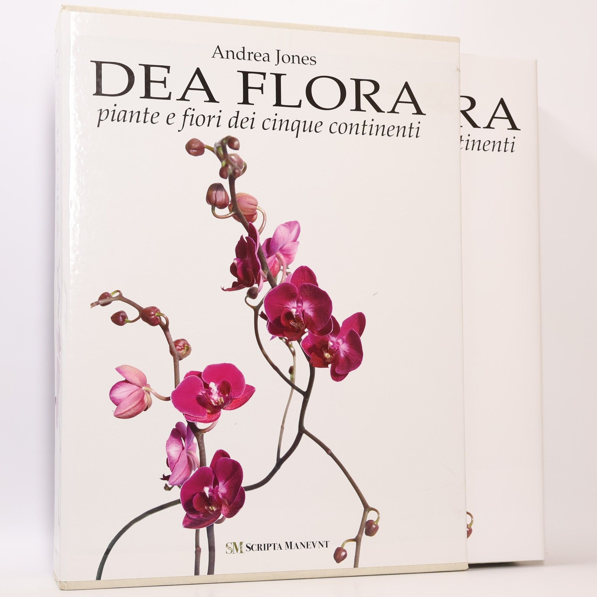 Andrea Jones Dea Flora: piante e fiori dei cinque continenti