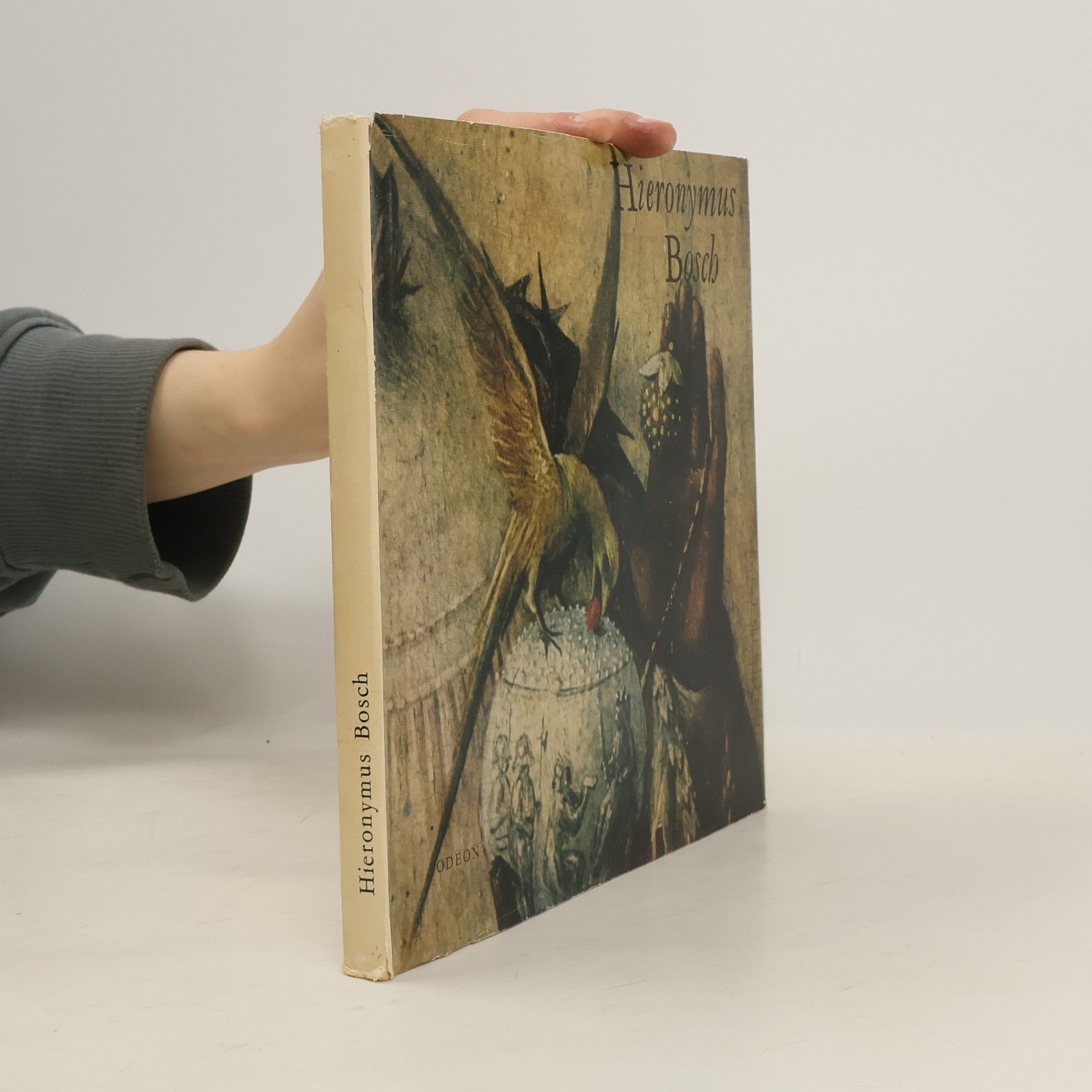 Hana Volavková Hieronymus Bosch