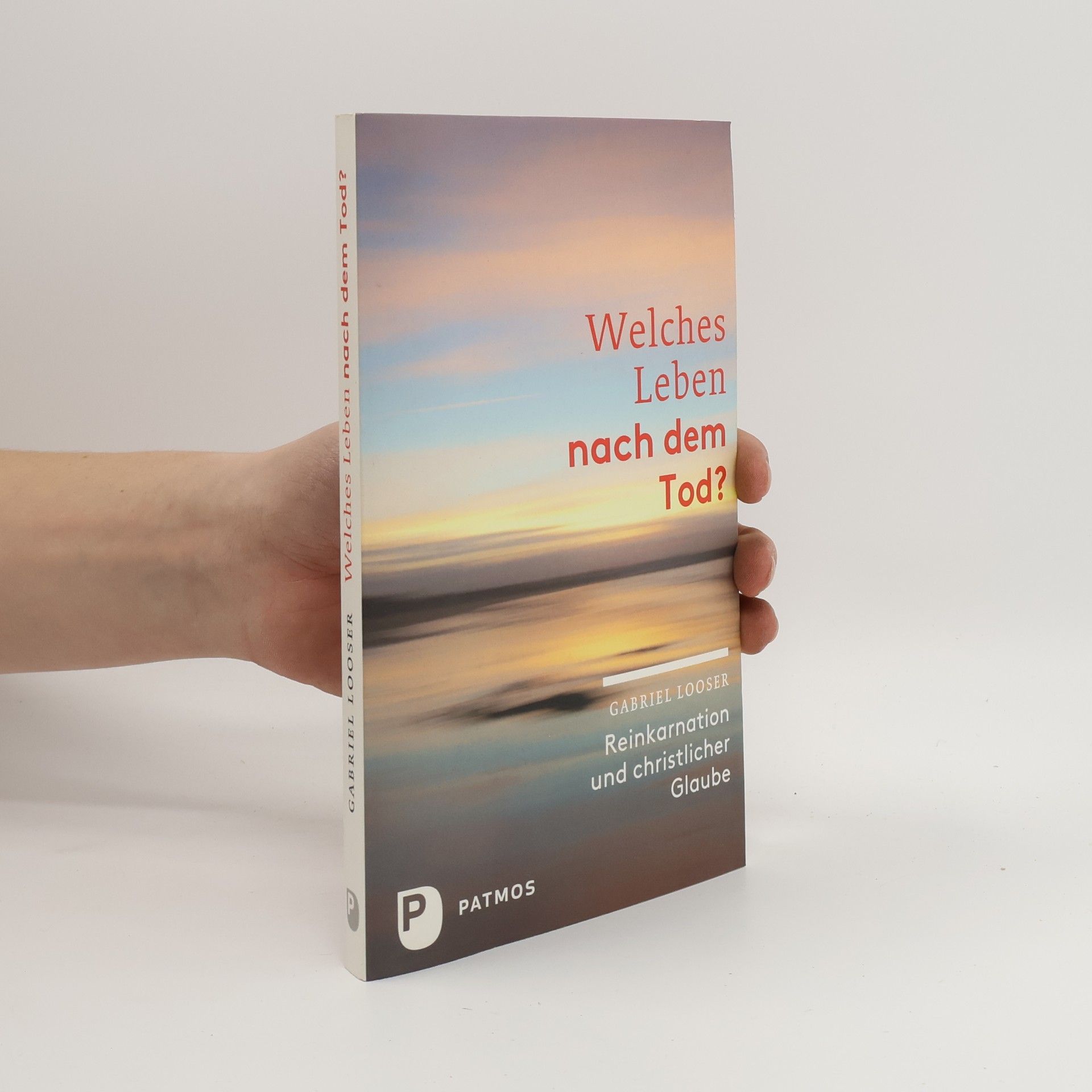 Gabriel Looser Welches Leben nach dem Tod?