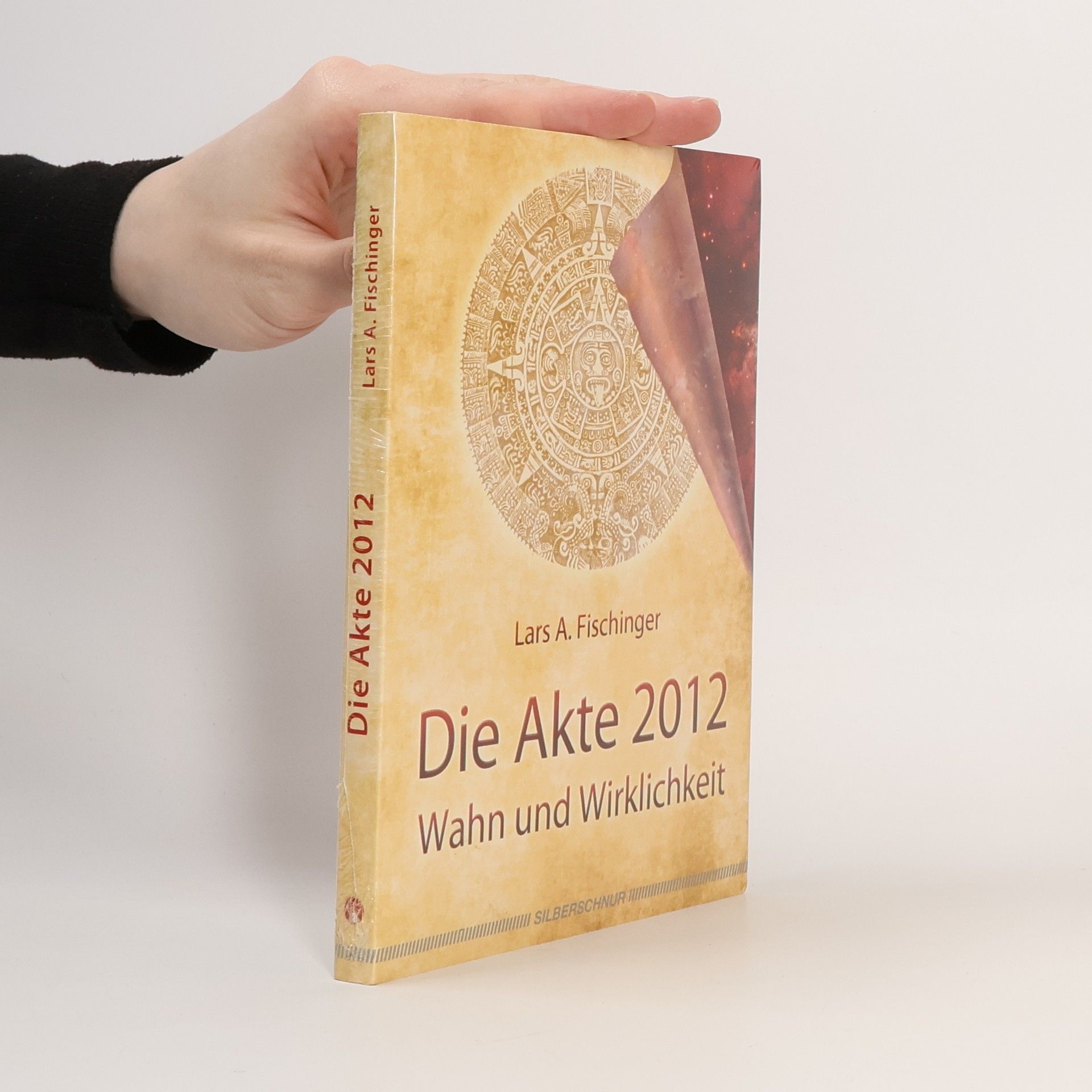 Lars A. Fischinger Die Akte 2012