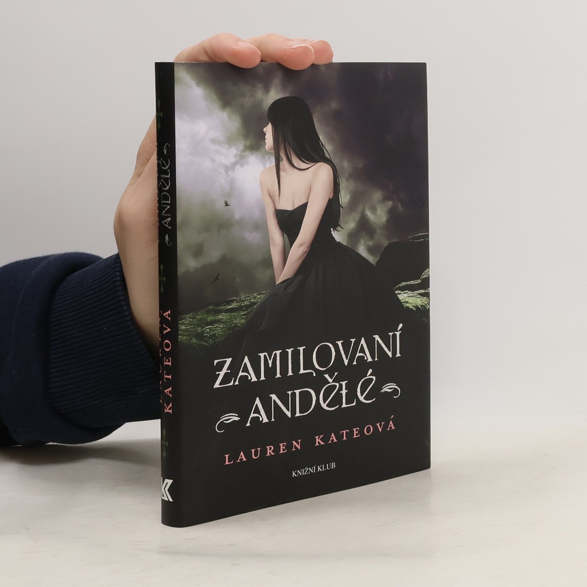 Zamilovaní andělé