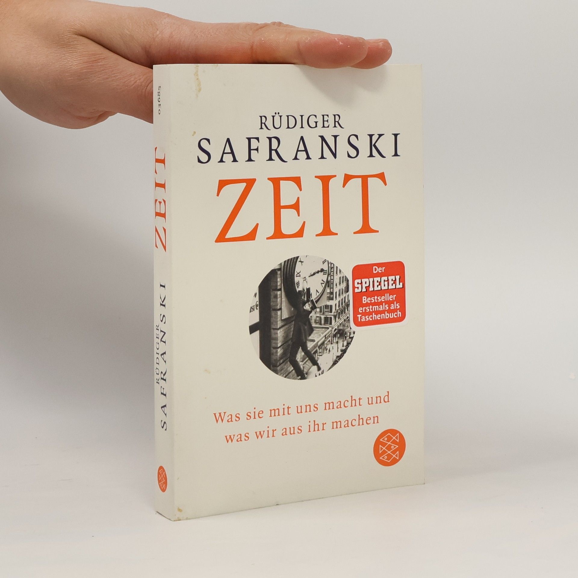 Rüdiger Safranski Zeit