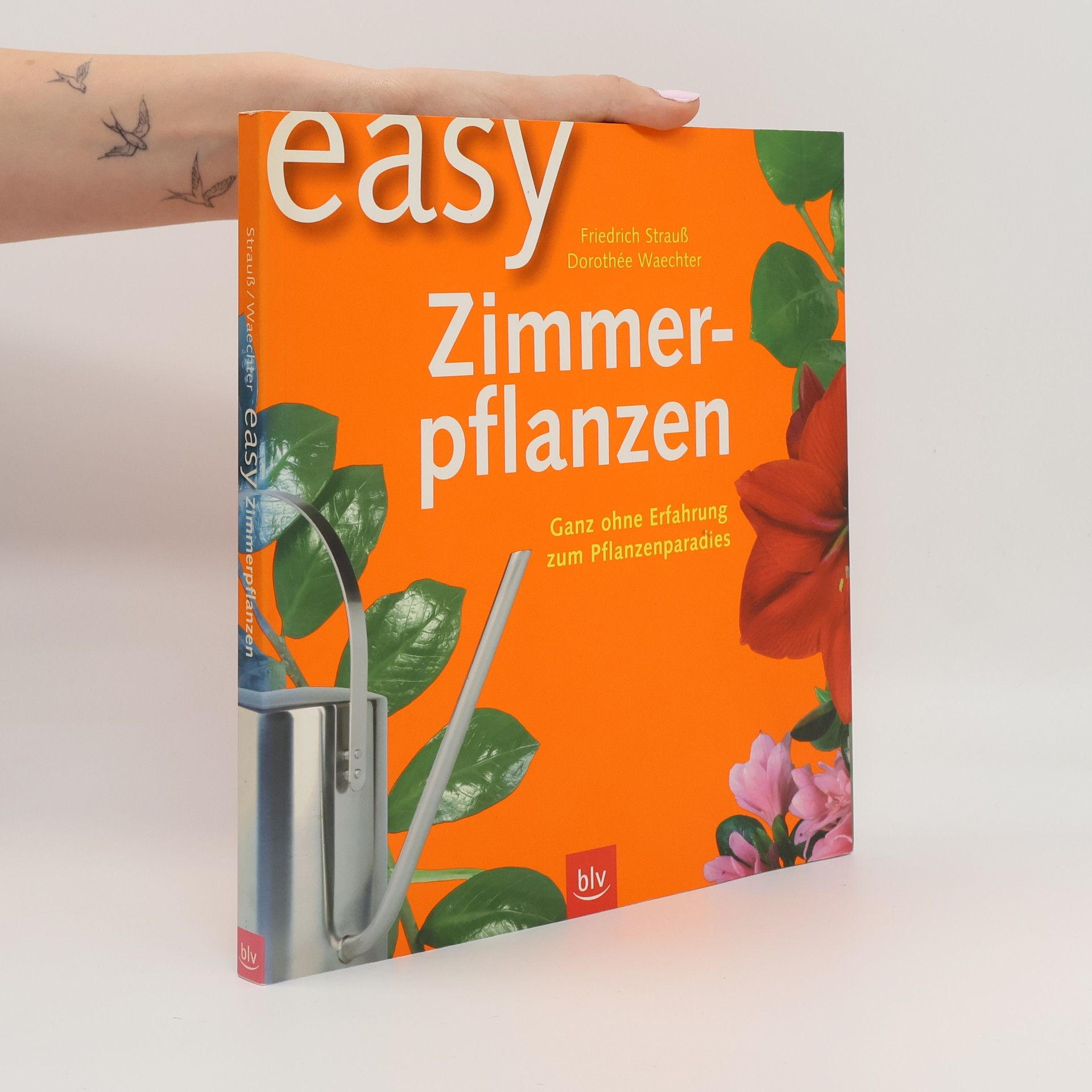 Friedrich Strauß Easy Zimmerpflanzen