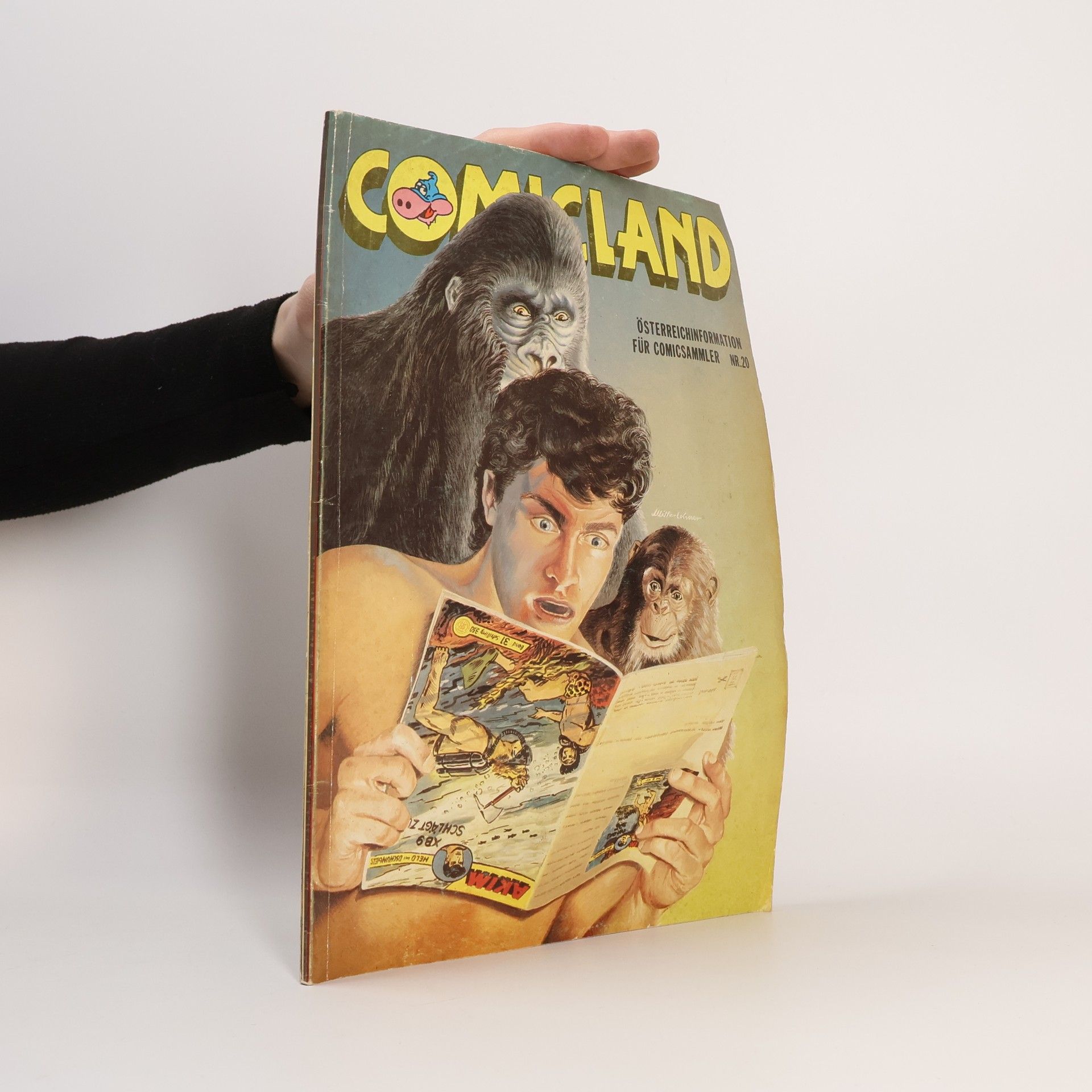 Autores varios Comicland