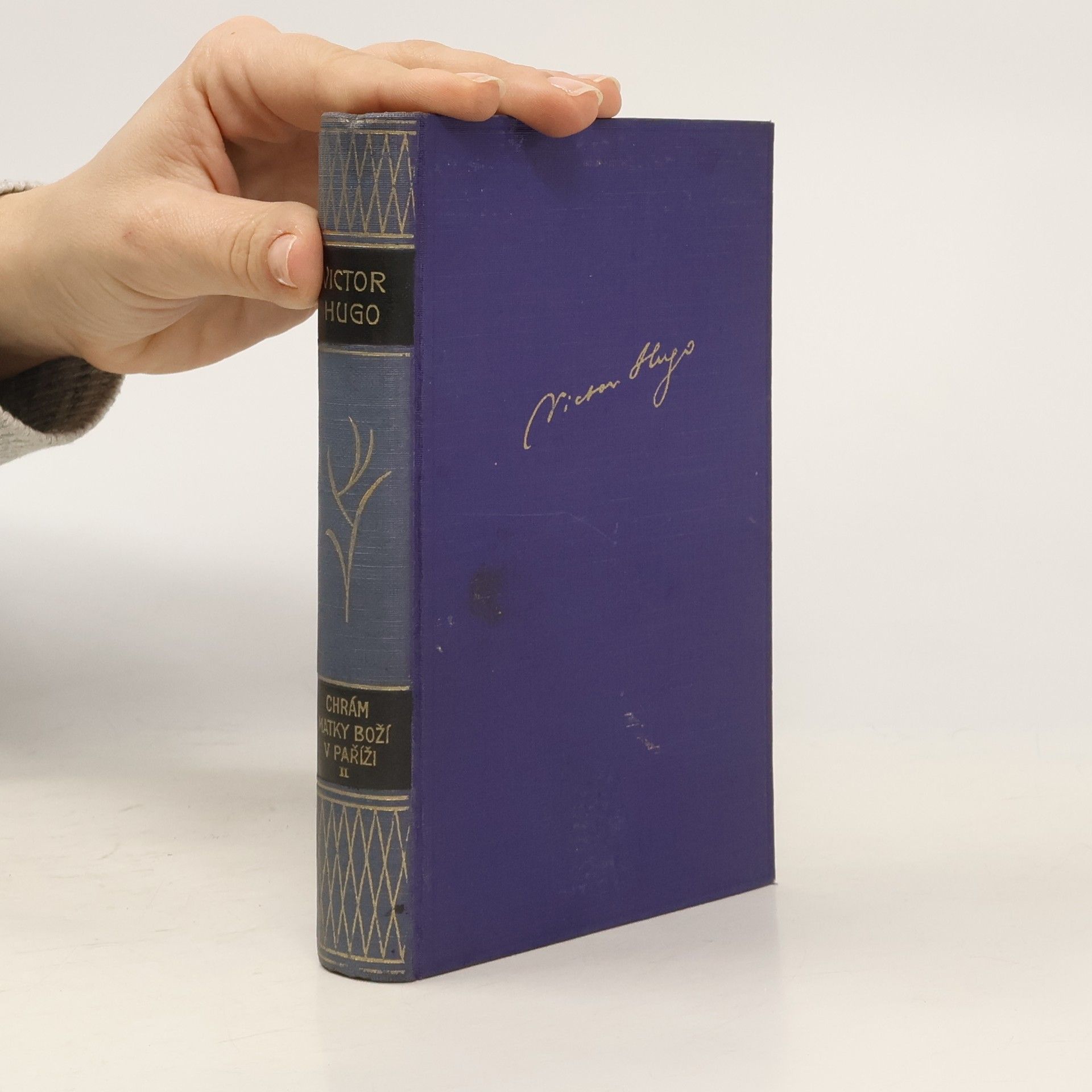 V. Hugo Chrám Matky Boží v Paříži II.