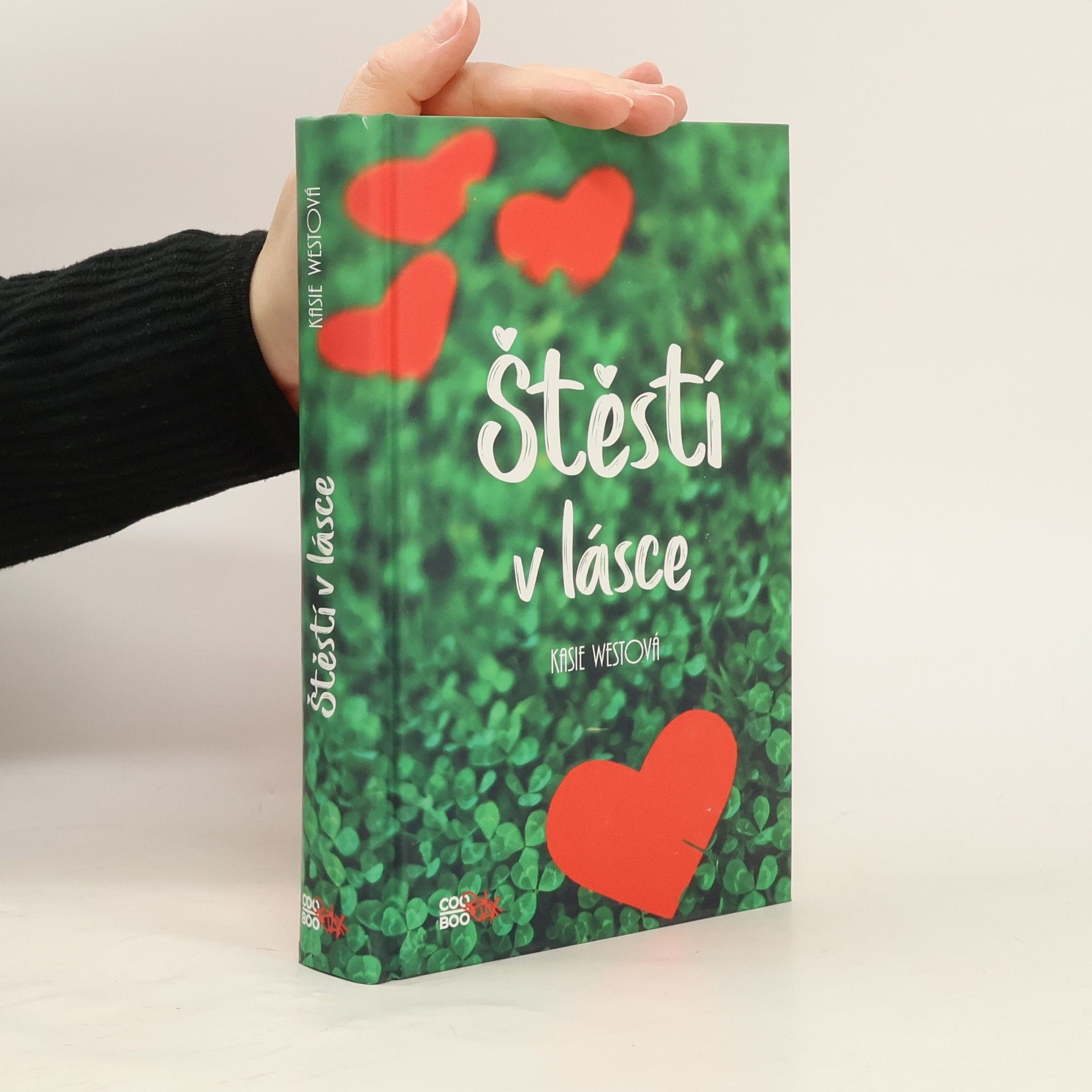 Kasie West Štěstí v lásce