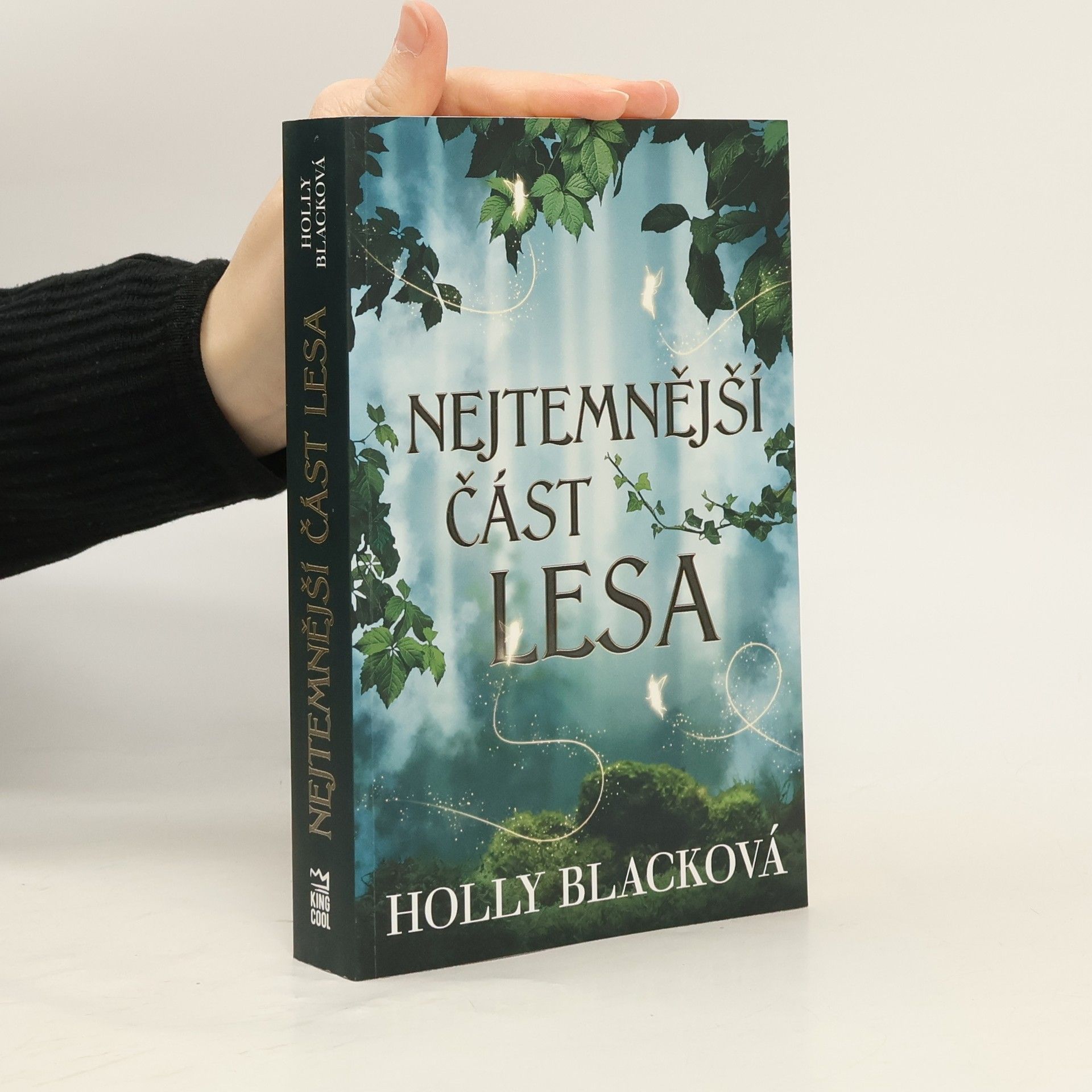 Holly Black Nejtemnější část lesa