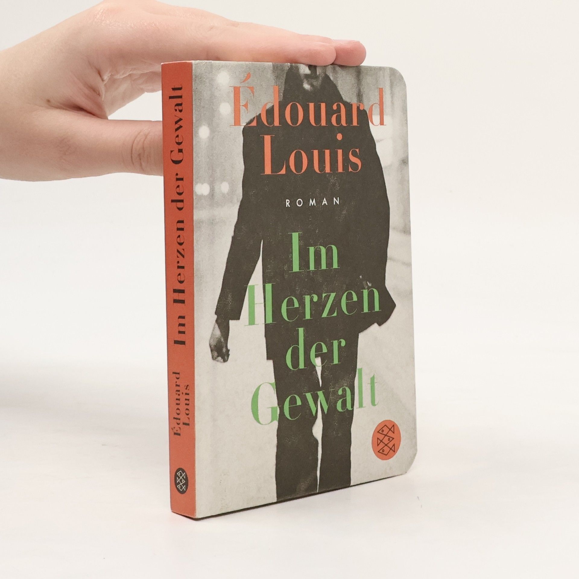 Édouard Louis Im Herzen der Gewalt