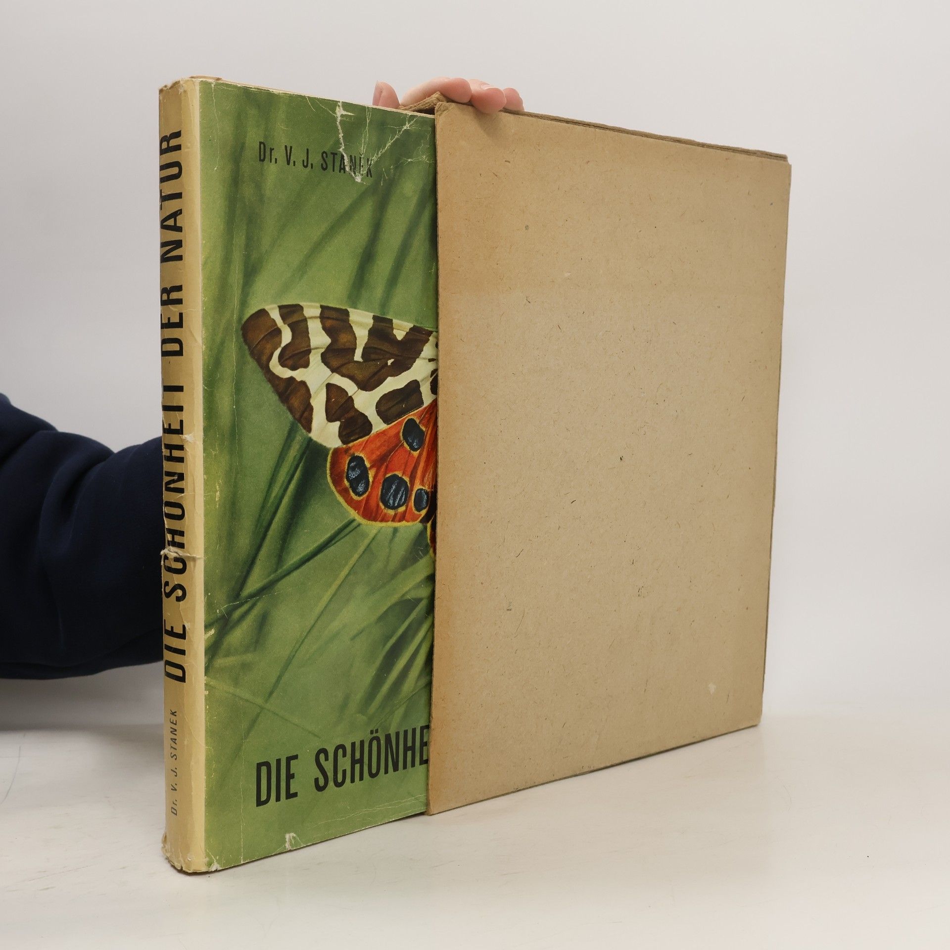 Václav Jan Staněk Die Schönheit der Natur