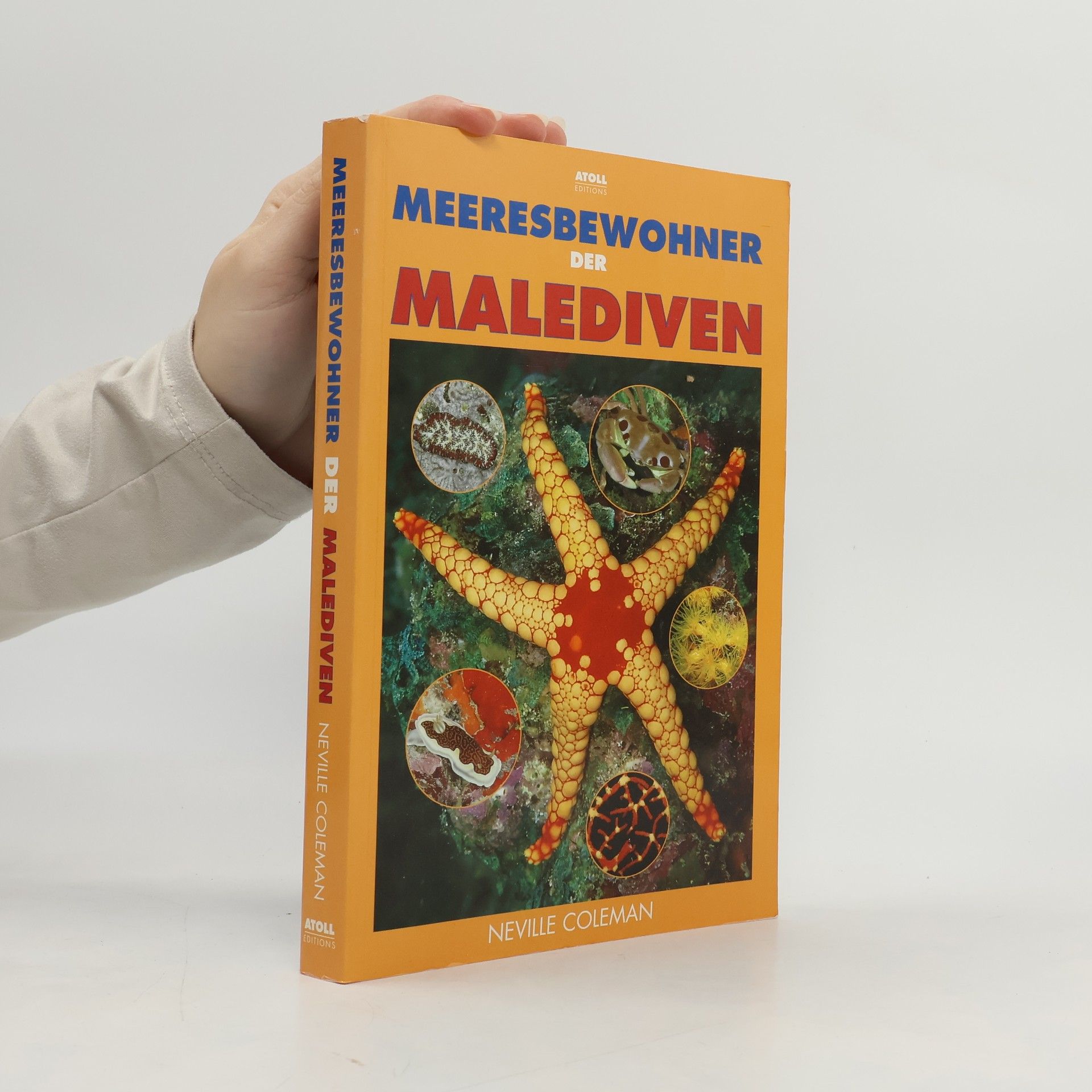Meeresbewohner der Malediven