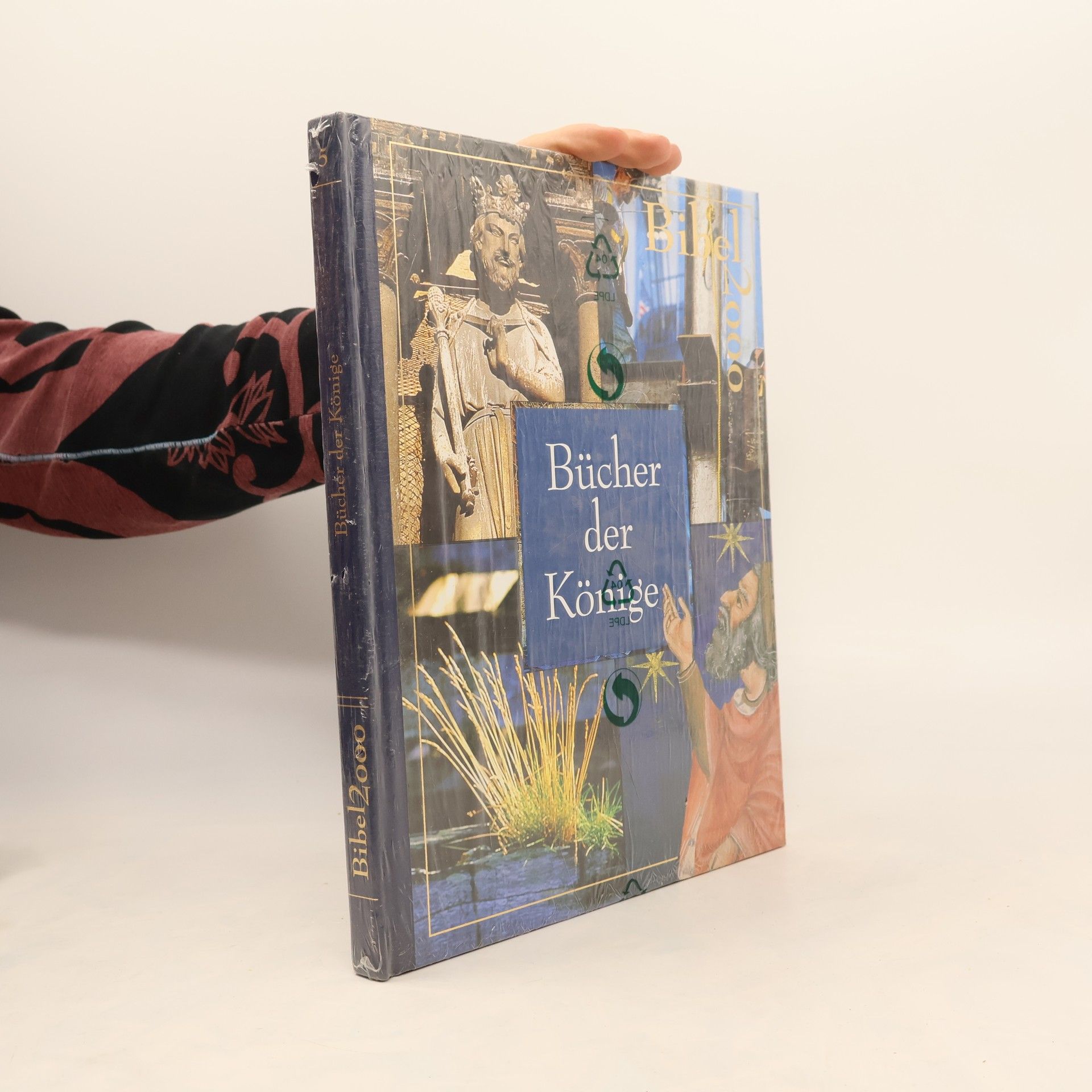 Autorenkollektiv Bücher der Könige.