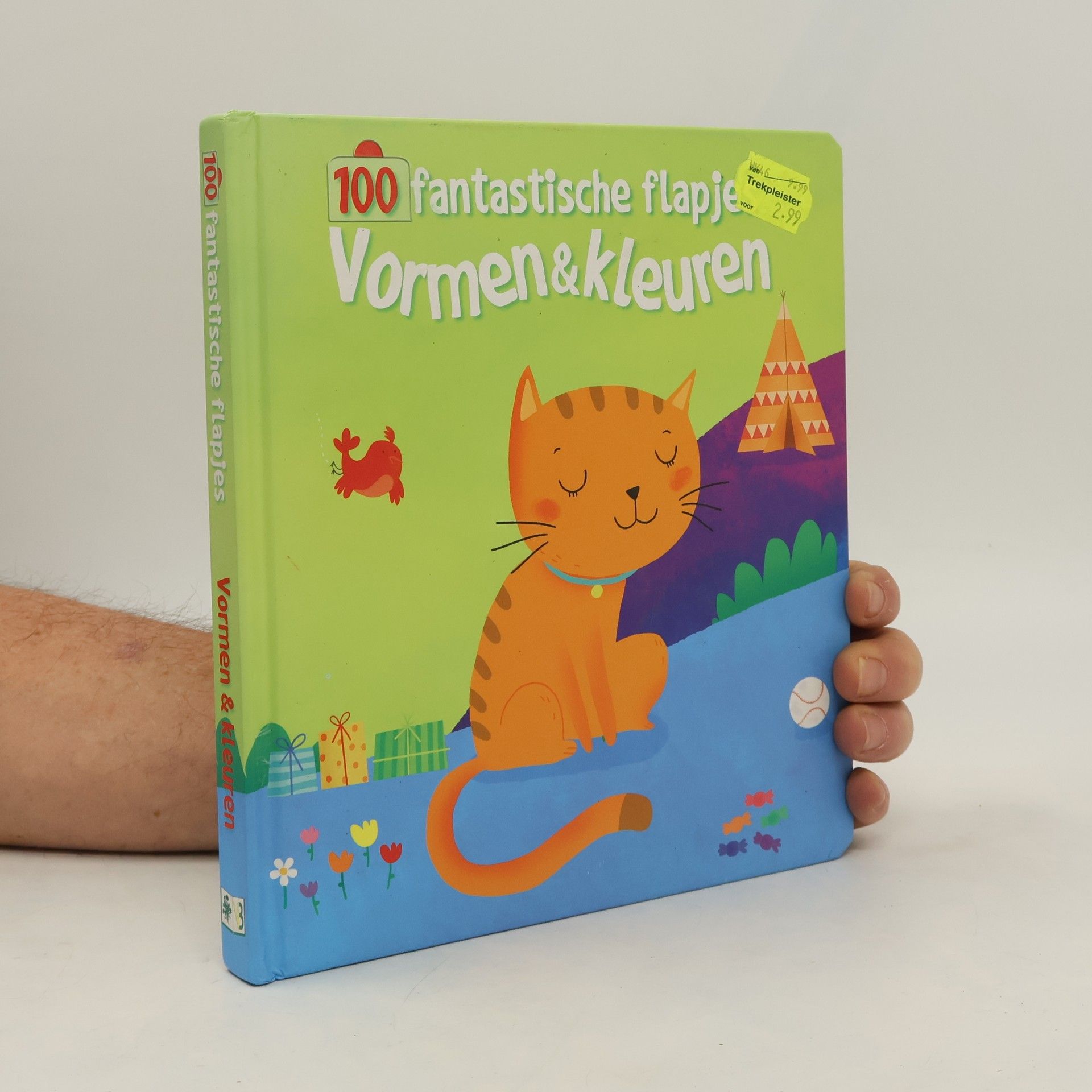 Autores varios 100 fantastische flapjes