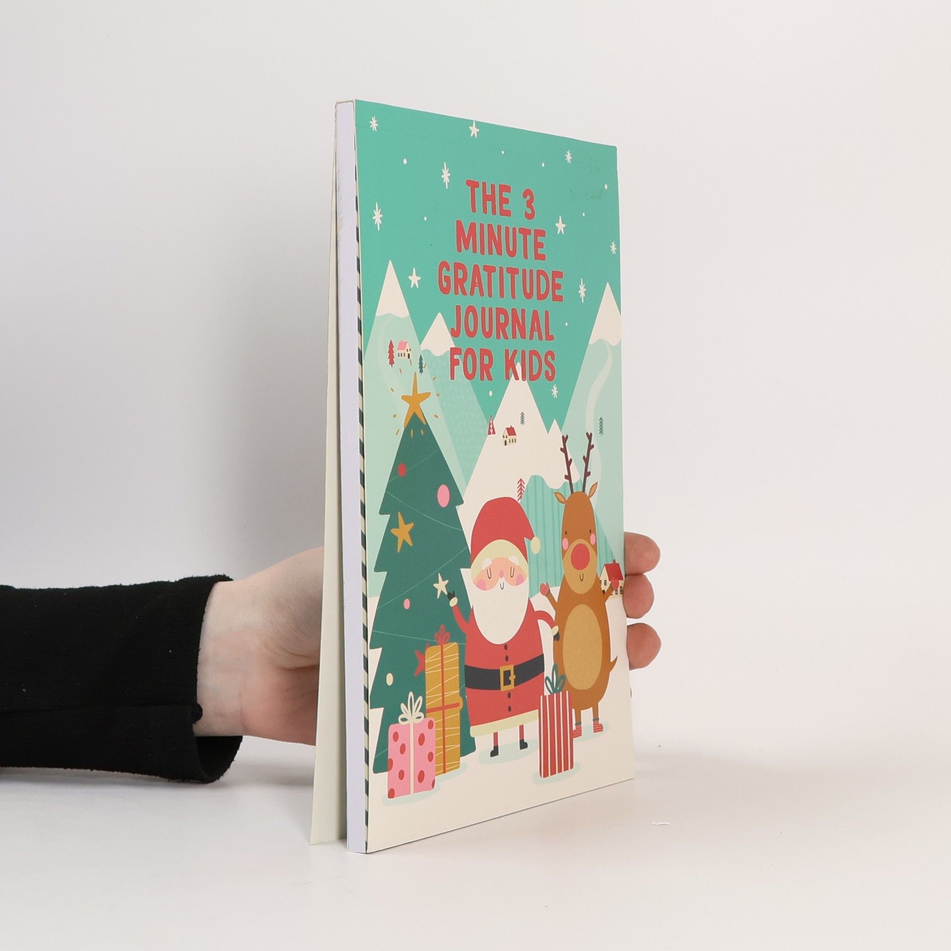 Kolektiv autorů The 3 Minute Gratitude Journal for Kids