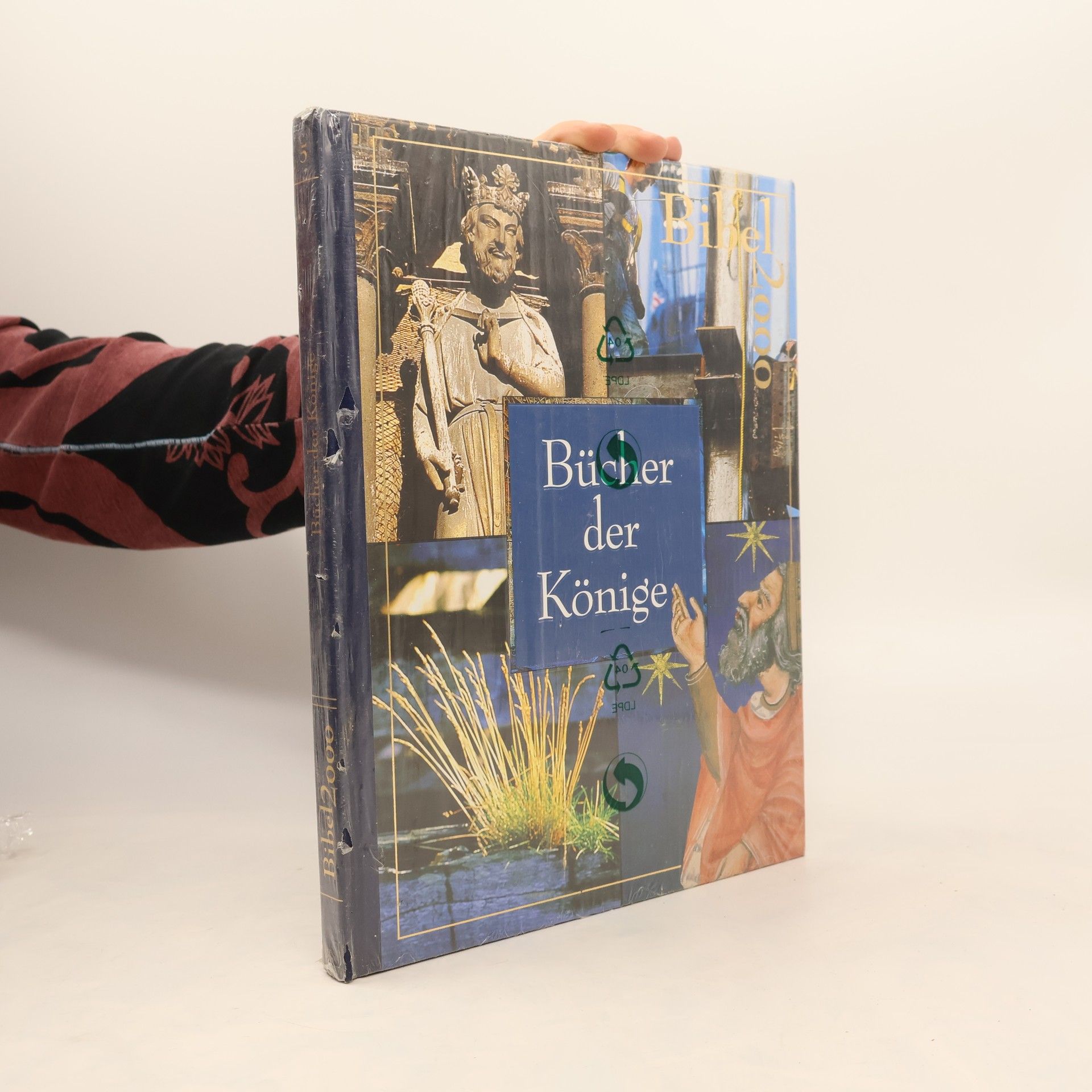Autorenkollektiv Bücher der Könige.