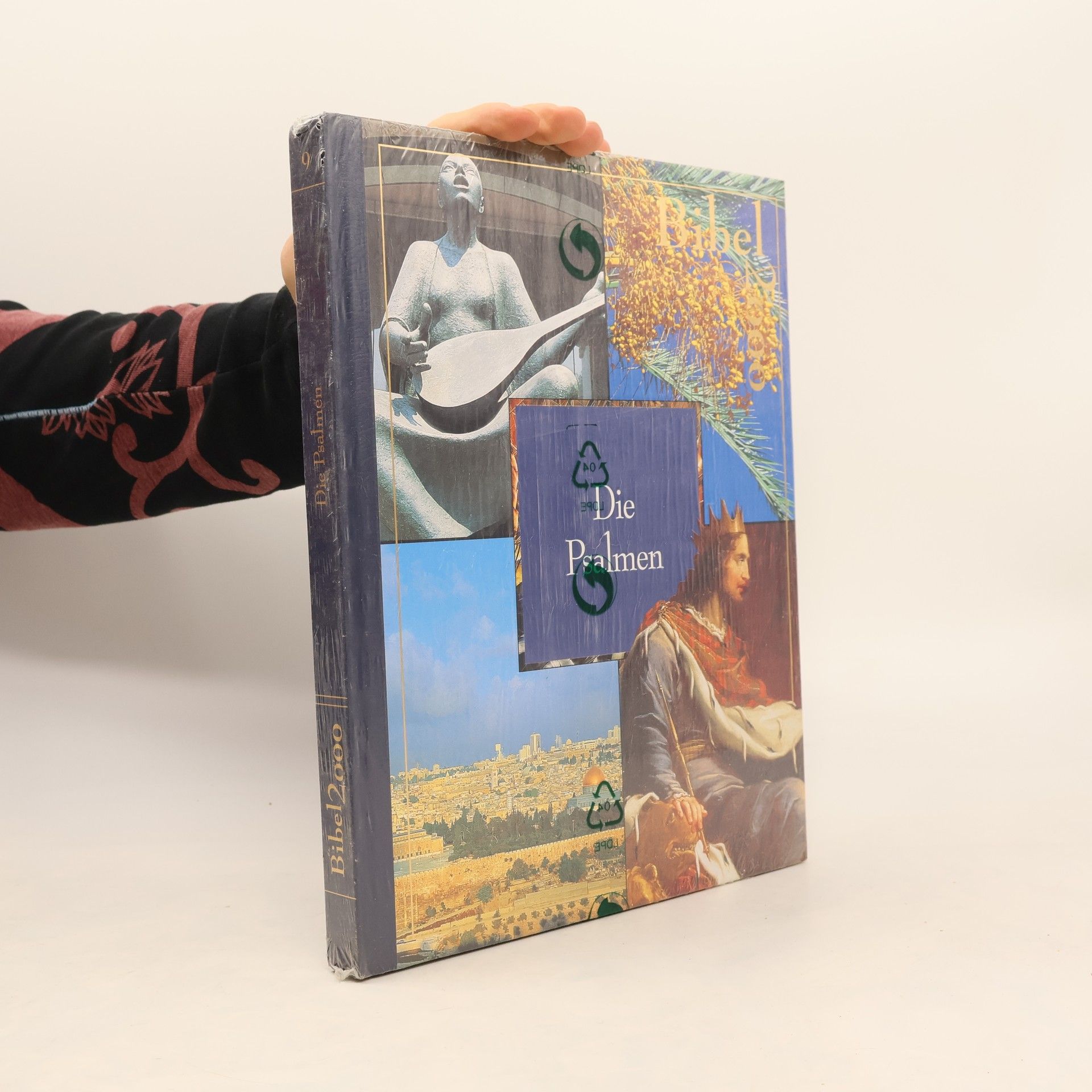 Autorenkollektiv Bibel 2000. Band 9. Die Psalmen