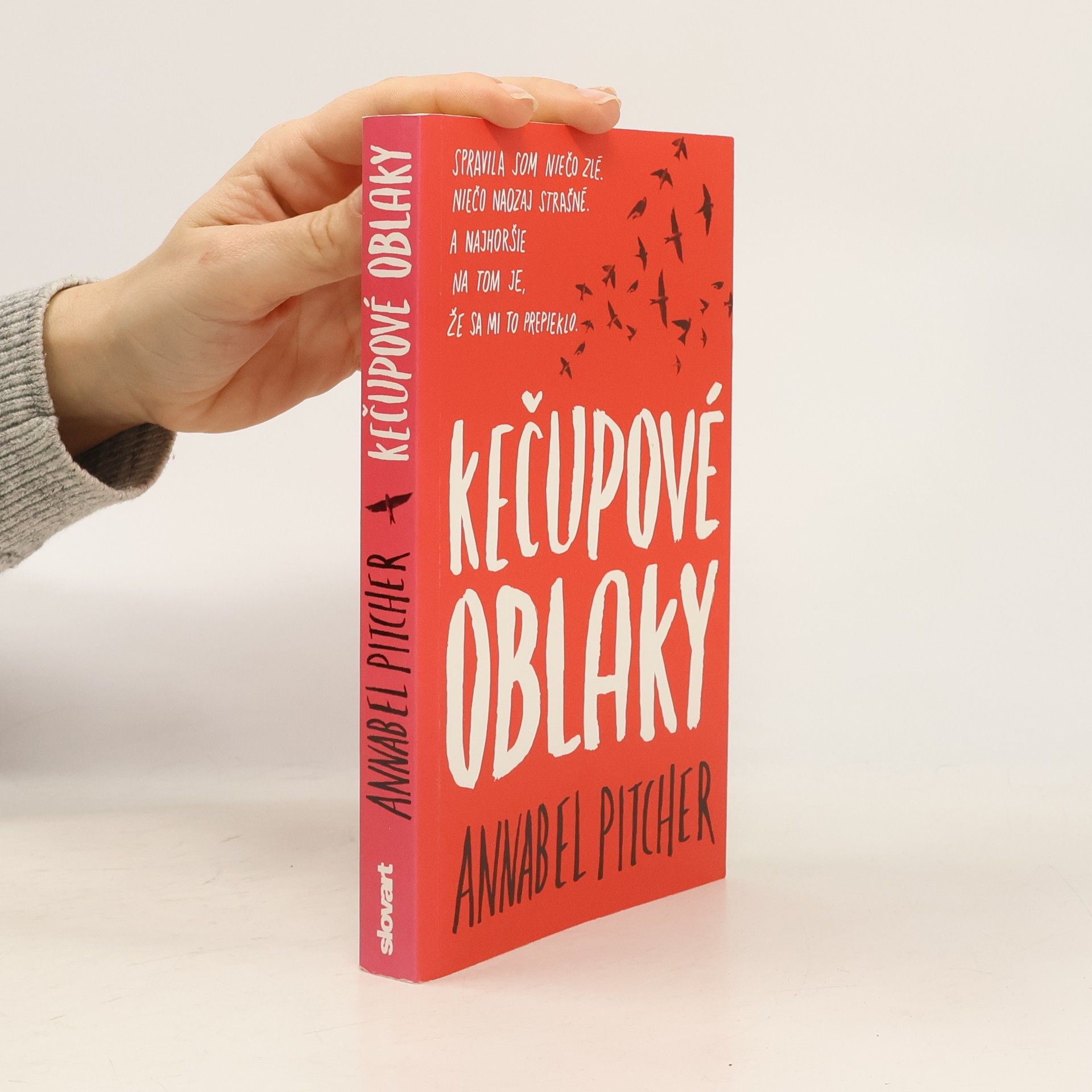 Annabel Pitcher Kečupové oblaky