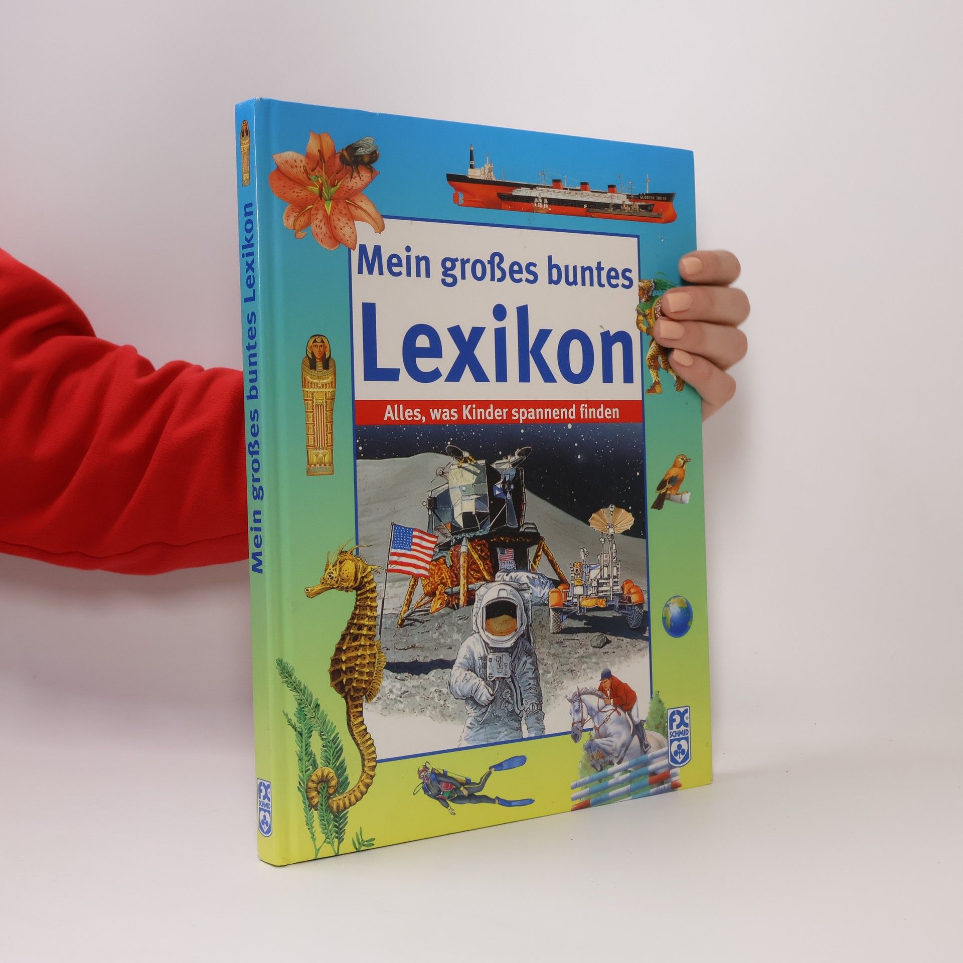 Giuliano Fornari Mein großes, buntes Lexikon