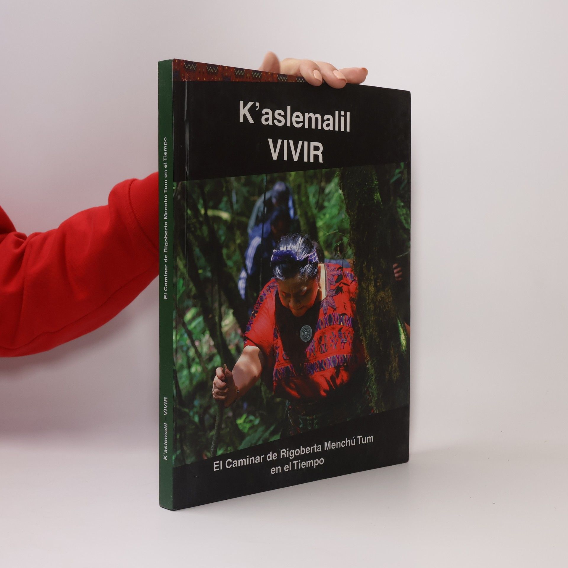 Collectif d'auteurs K'aslemalil, VIVIR