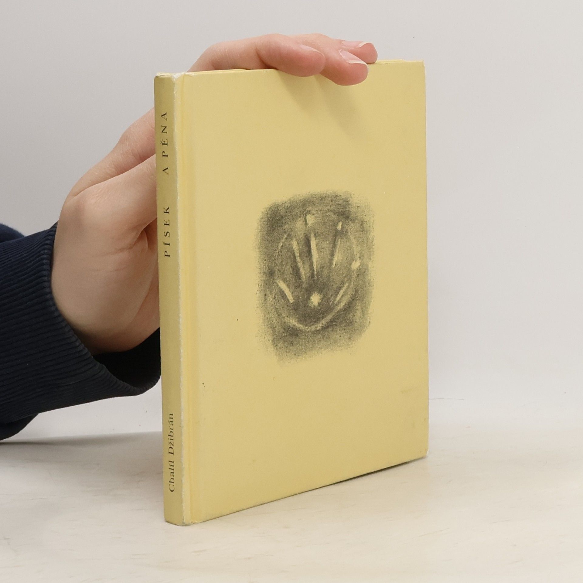 Chalíl Džibrán Písek a pěna. Knížka aforismů a parabol