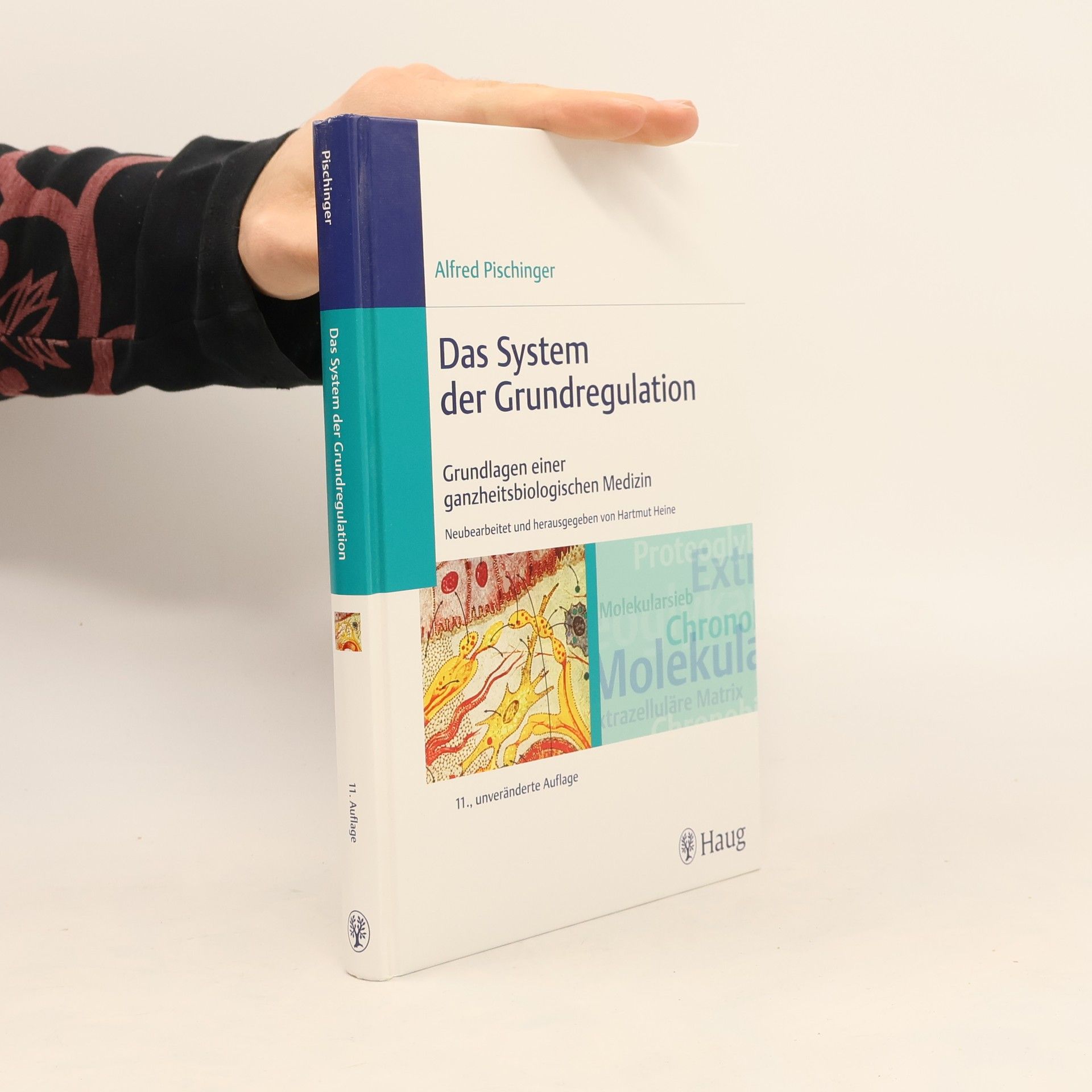 Alfred Pischinger Das System der Grundregulation : Grundlagen einer ganzheitsbiologischen Medizin ; 19 Tabellen - 11., unveränderte Auflage