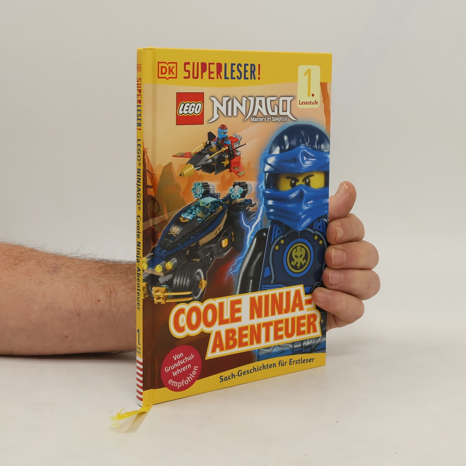 Lego Ninjago: Coole Ninja-Abenteuer