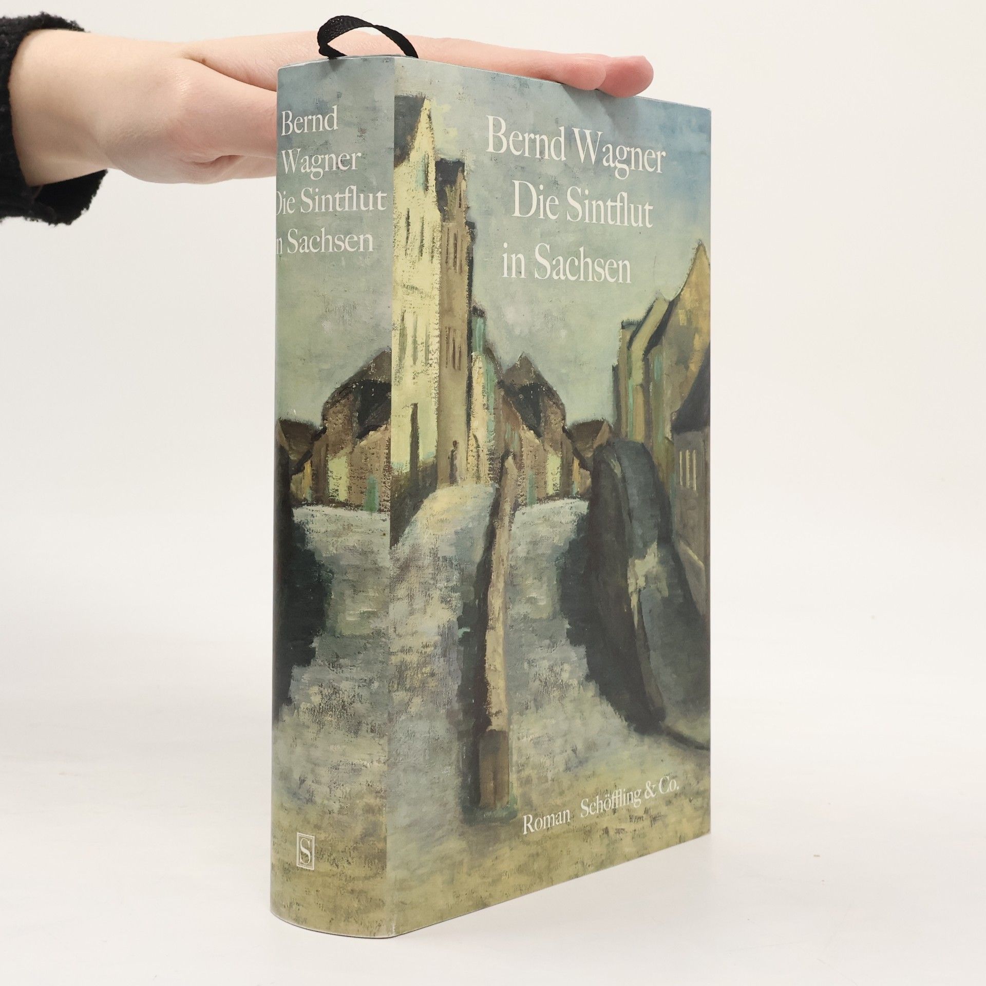 Hardy-Bernd Wagner Die Sintflut in Sachsen