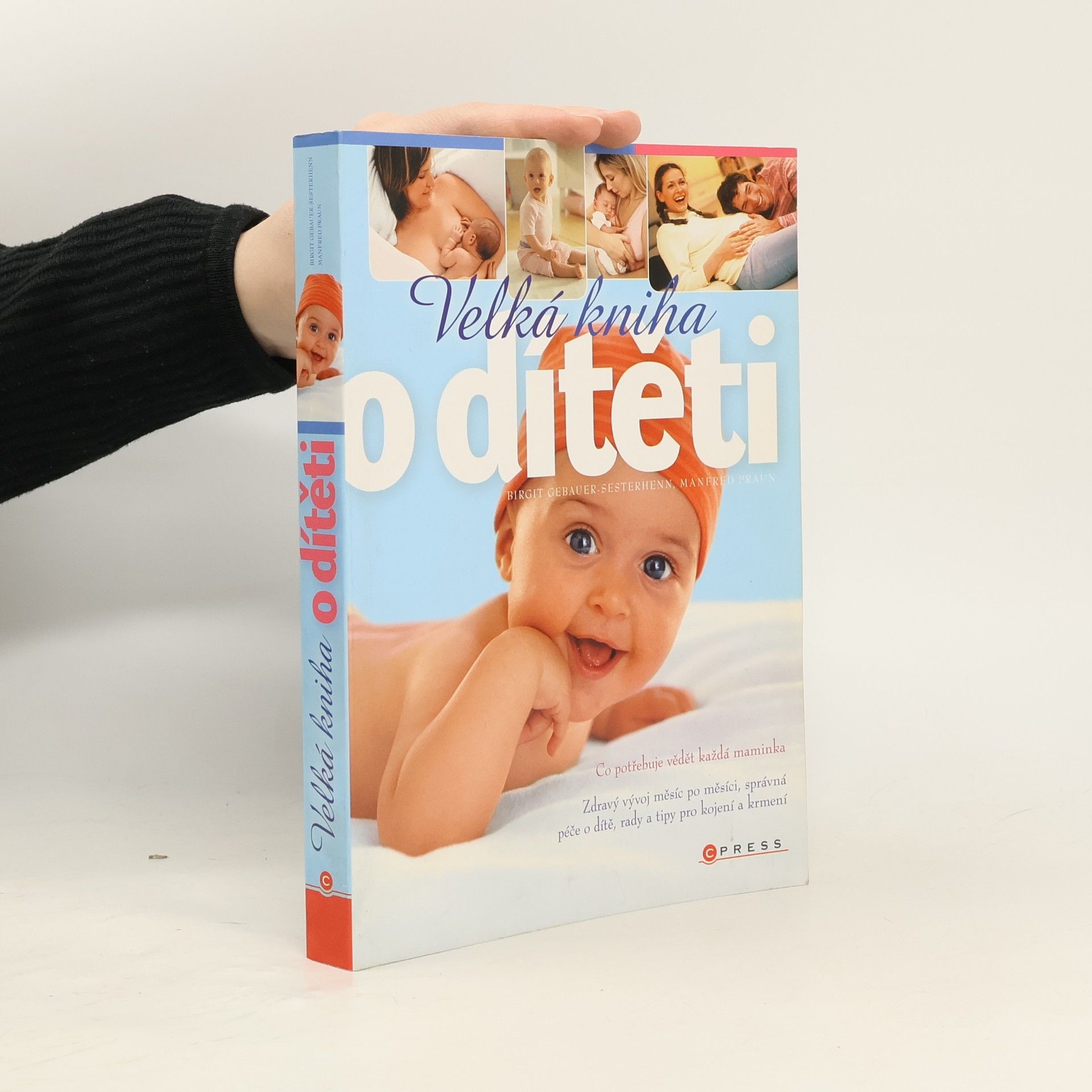 Birgit Gebauer Sesterhenn Velká kniha o dítěti
