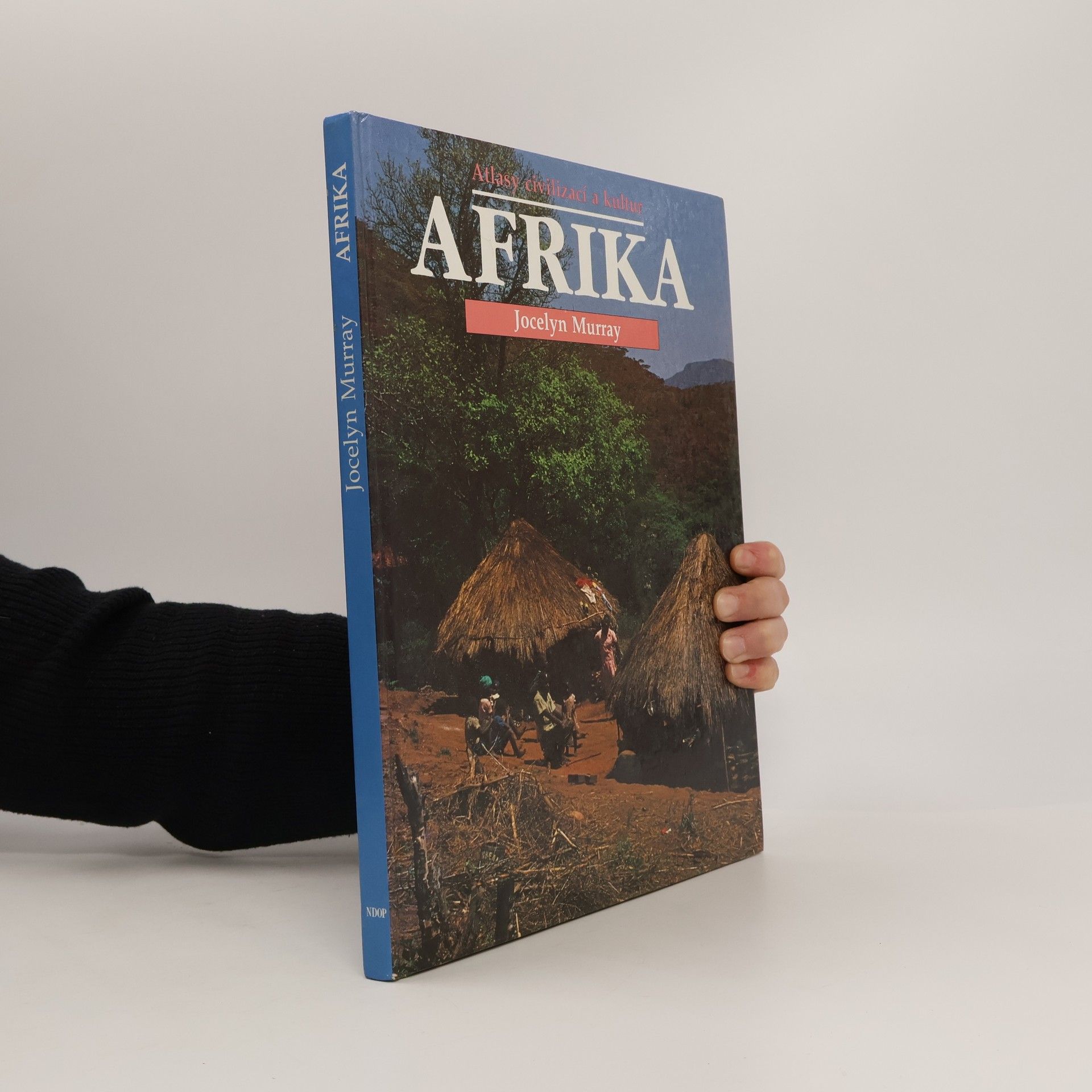 Jocelyn Murray Afrika