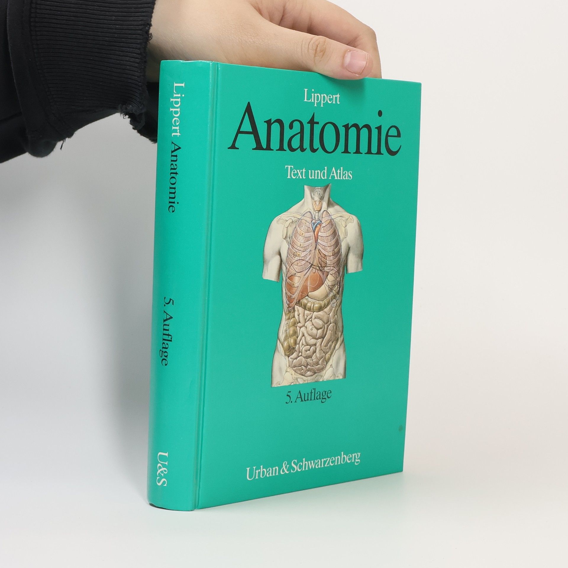 Herbert Lippert Anatomie