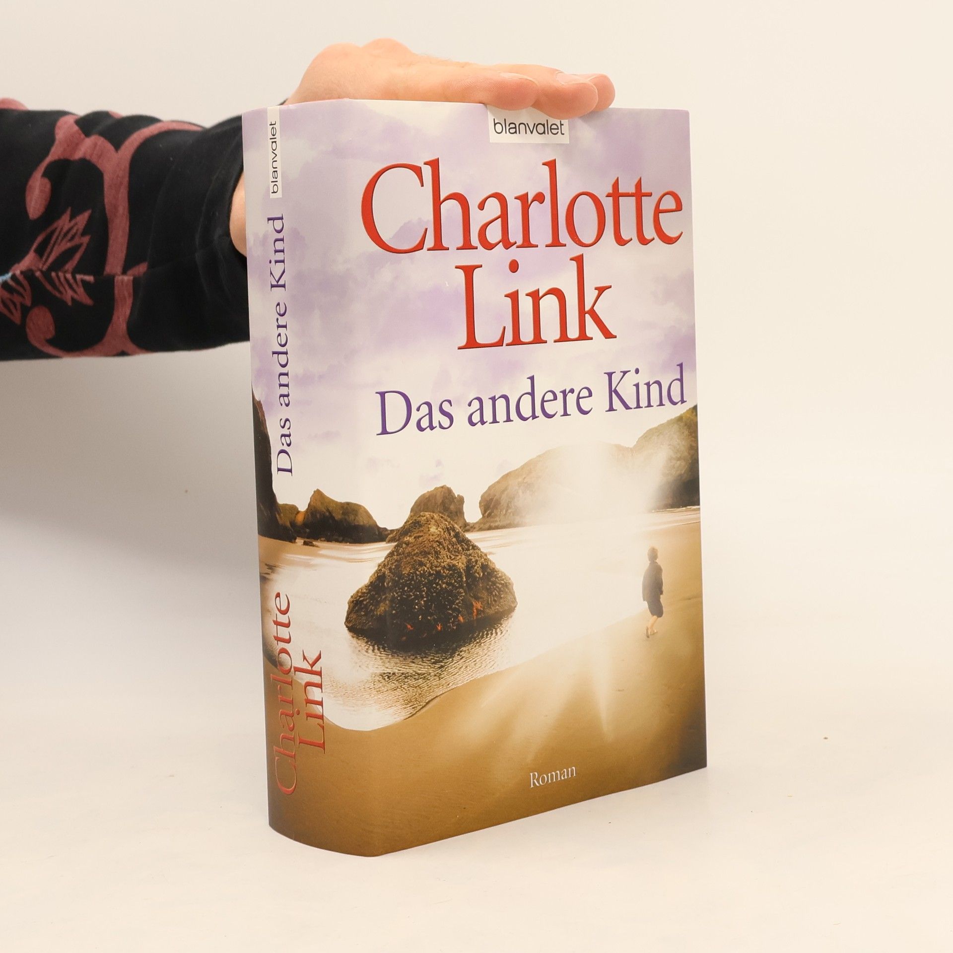 Charlotte Link Das andere Kind