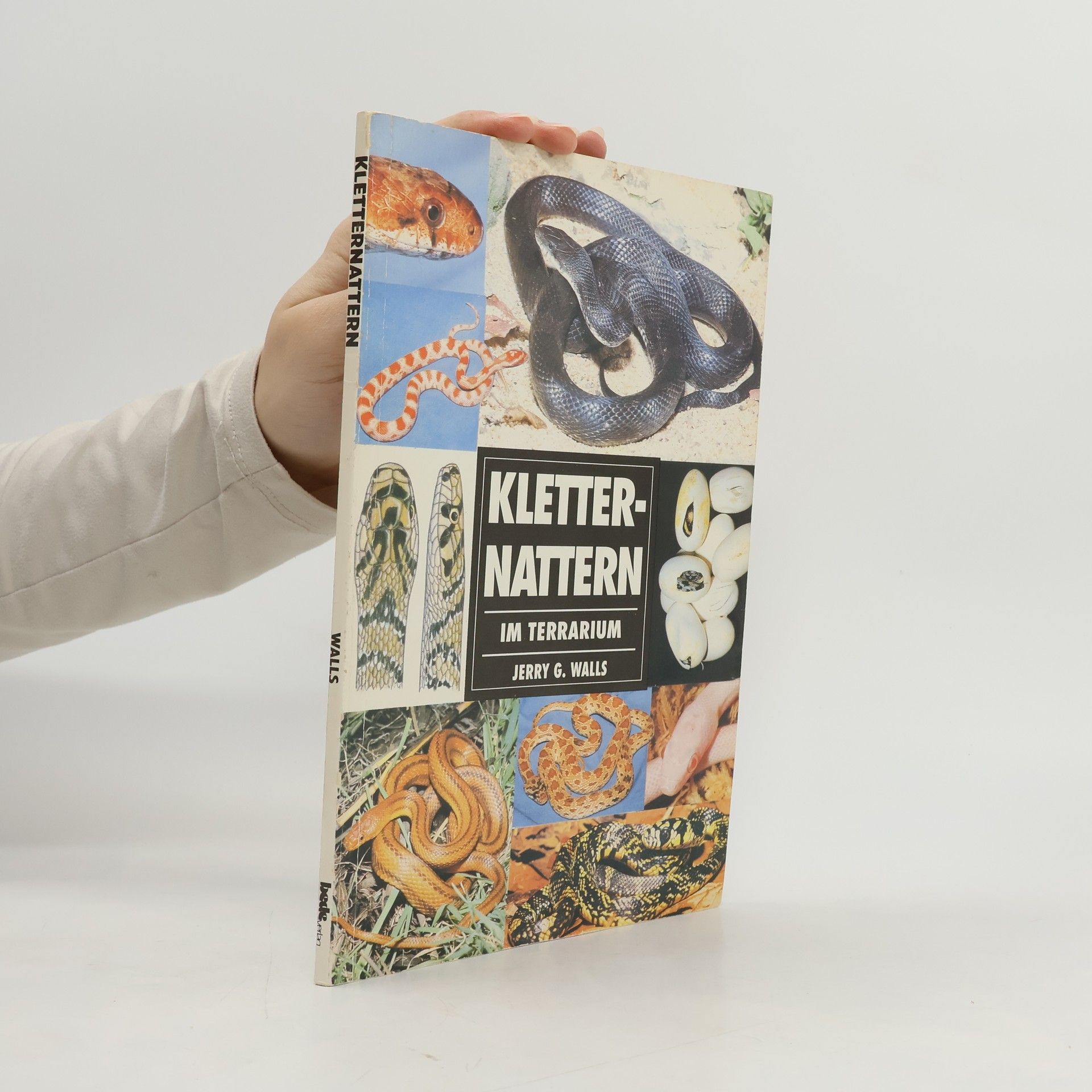 Jerry G. Walls Kletternattern im Terrarium