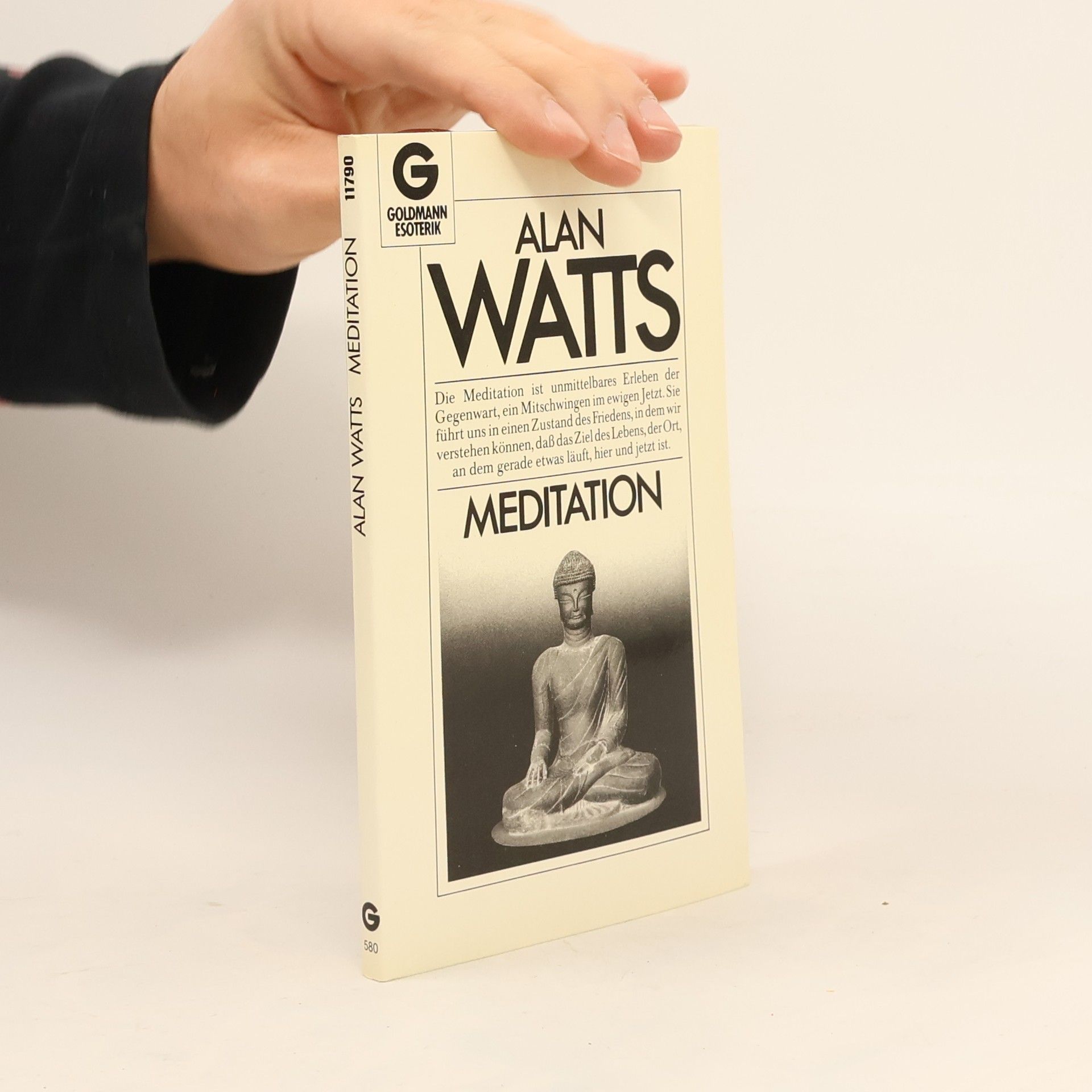 Alan Watts Meditation