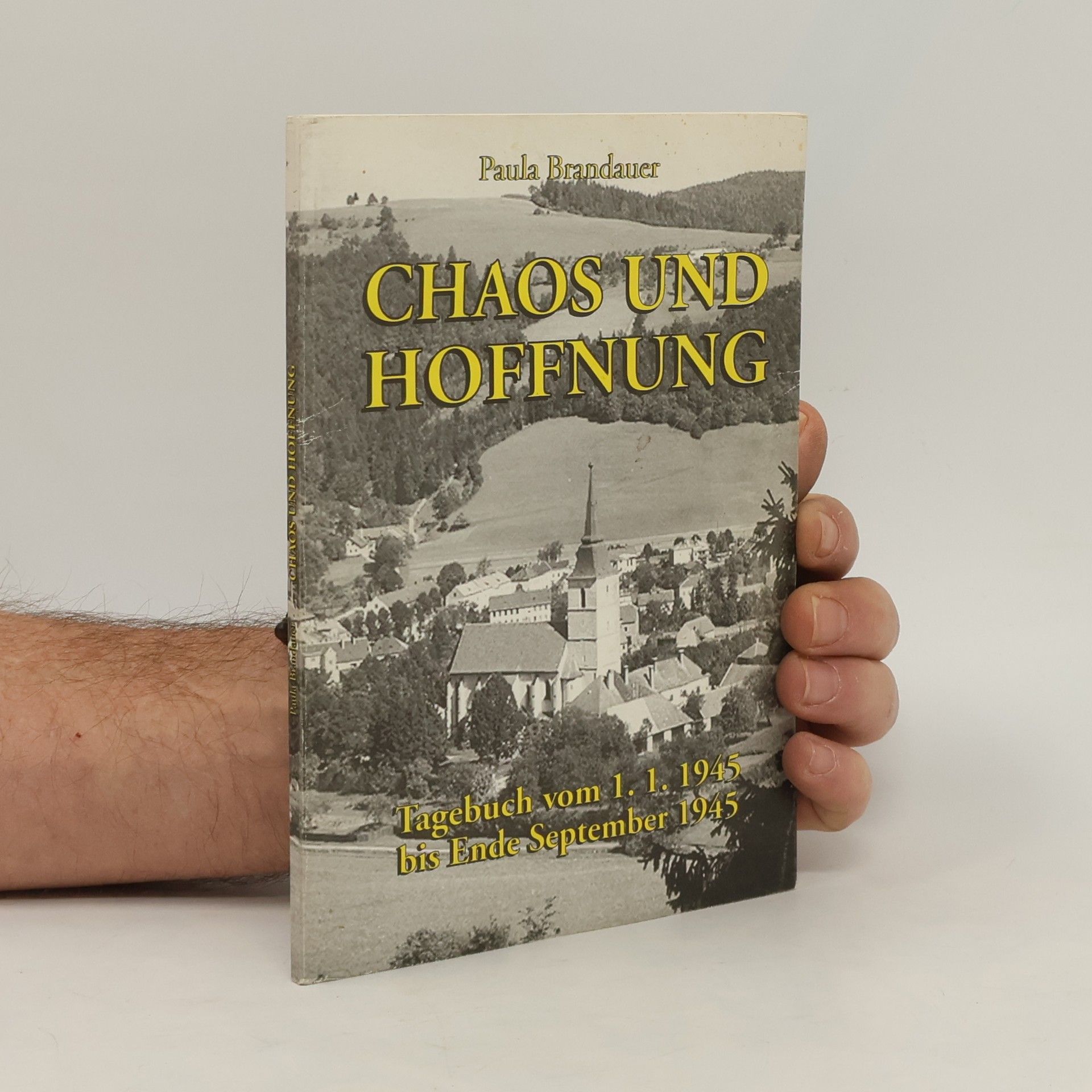 Paula Brandauer Chaos und Hoffnung