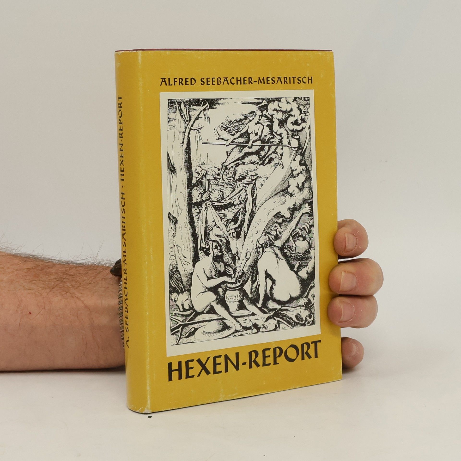 Alfred Seebacher Mesaritsch Hexen-Report