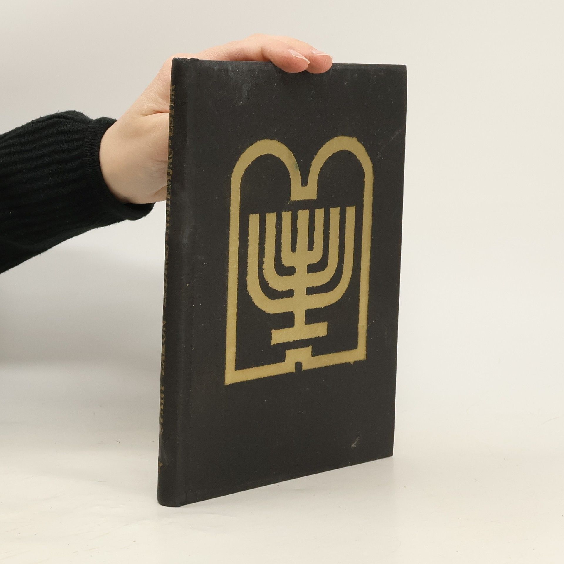 Kolektiv autorů Starý zákon 7. Ezdráš, Nehemjáš, Ester