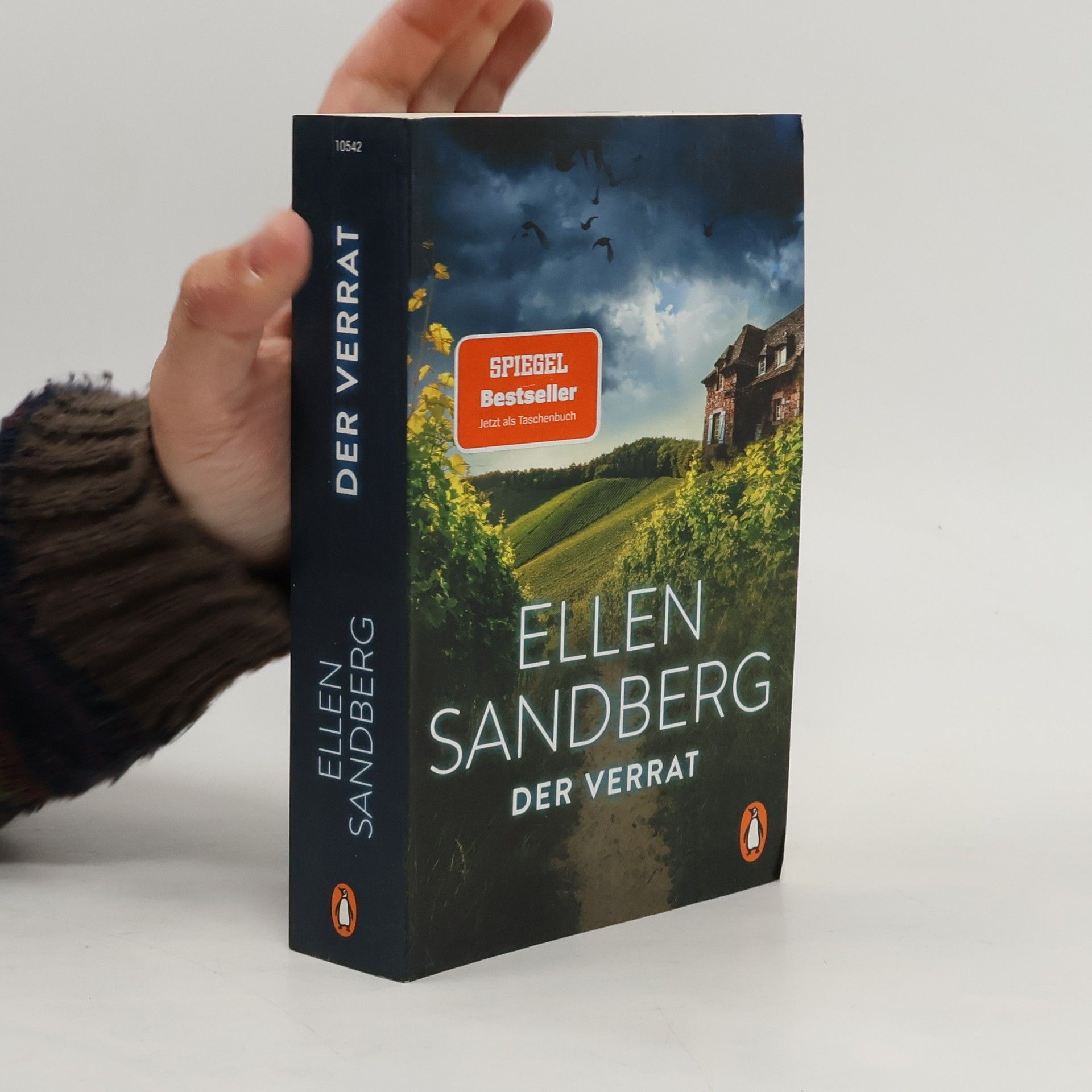 Ellen Sandberg Der Verrat