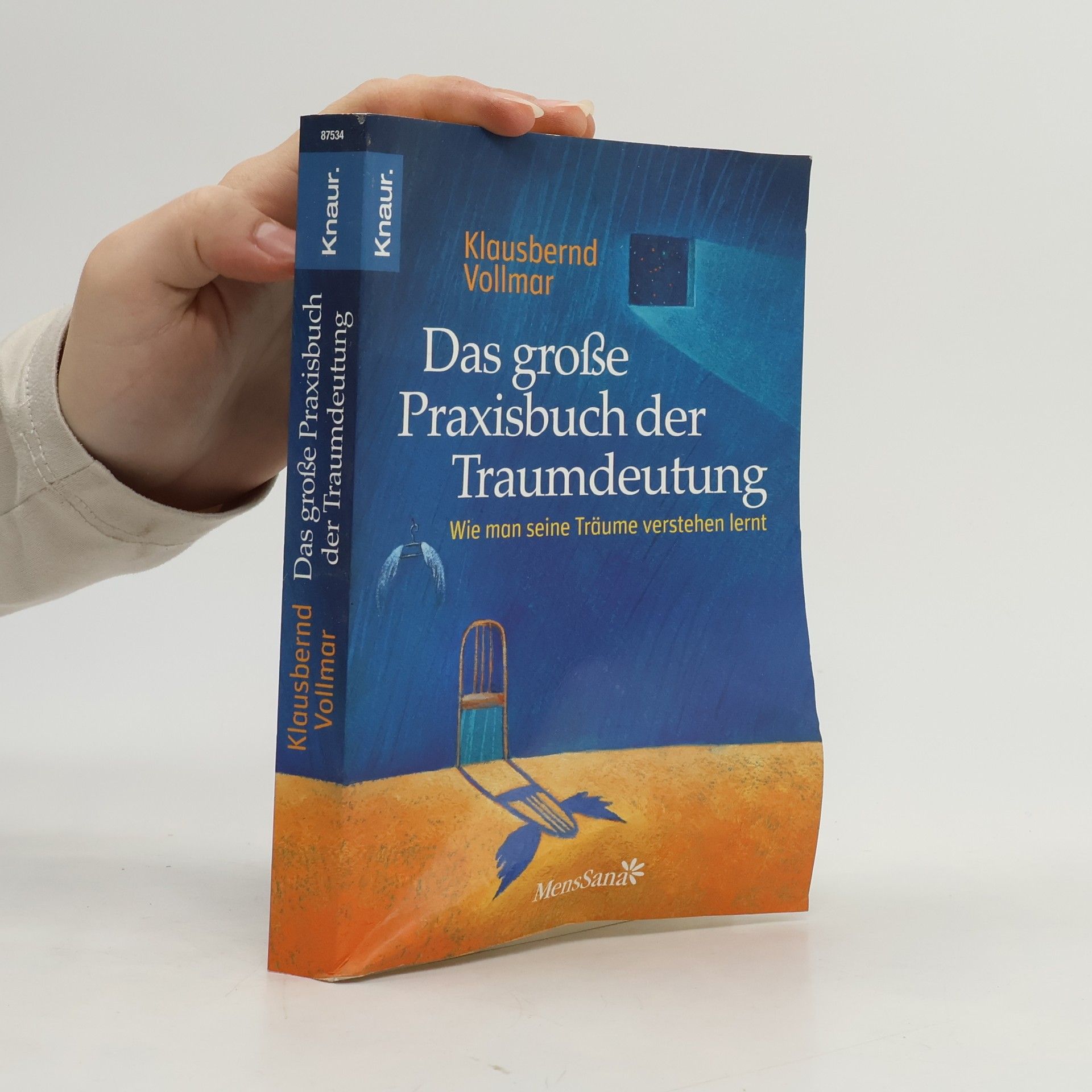 Klausbernd Vollmar Das große Praxisbuch der Traumdeutung