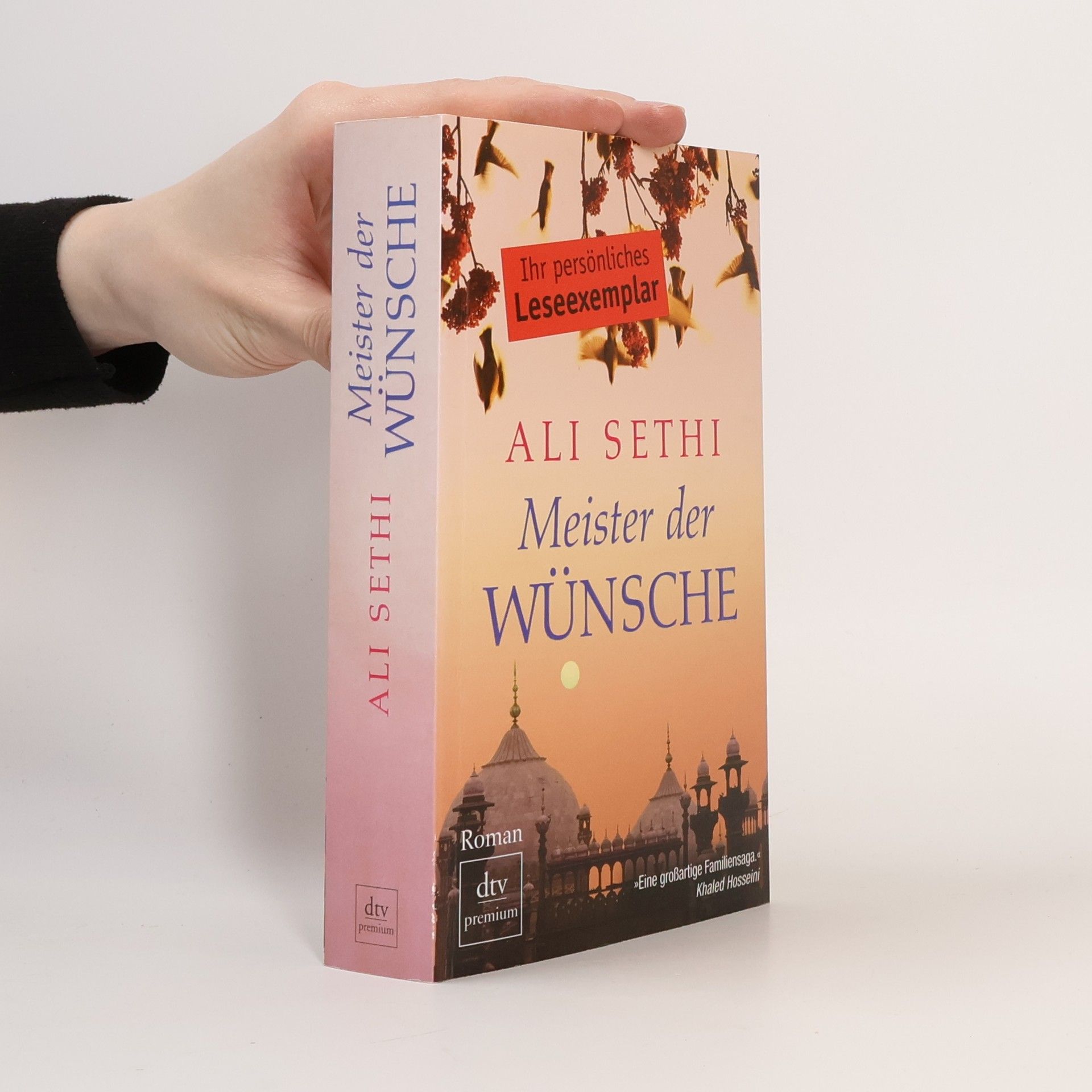 Ali Sethi Meister der Wünsche