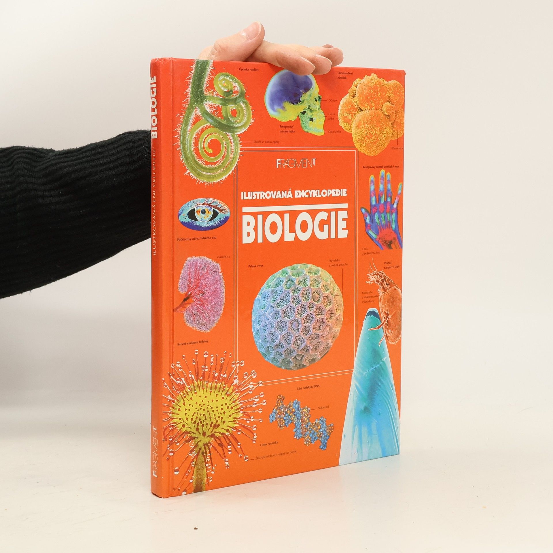 Corinne Stockley Biologie