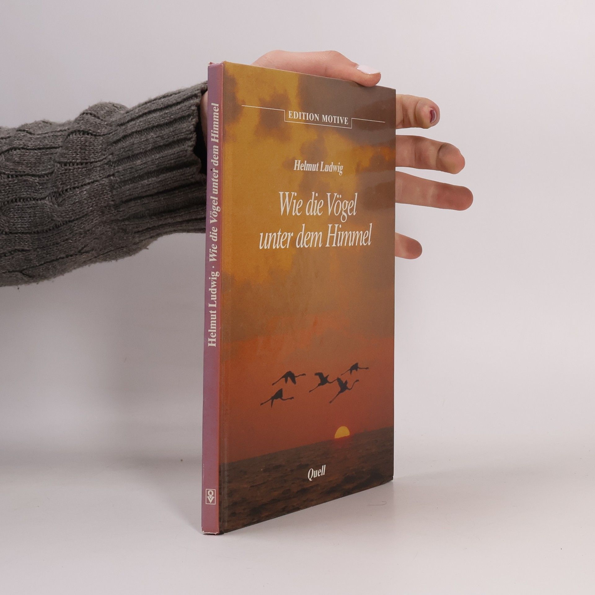 Helmut Ludwig Edition Motive: Wie die Vögel unter dem Himmel