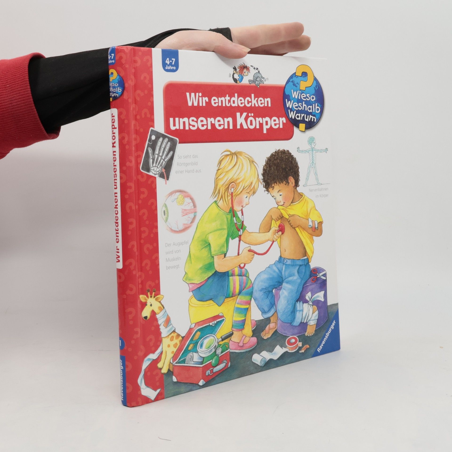 Doris Rübel Wir entdecken unseren Körper