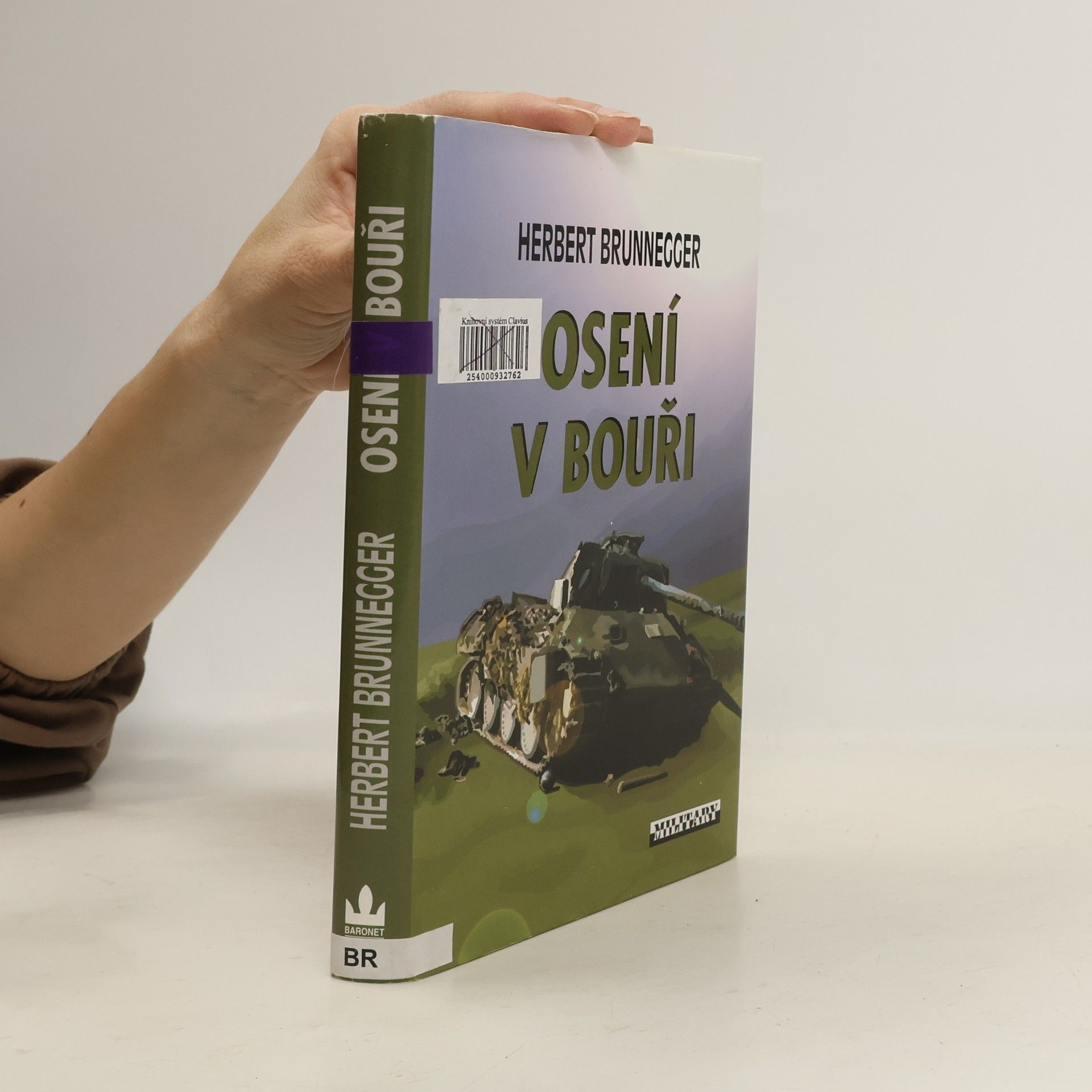 Herbert Brunnegger Osení v bouři