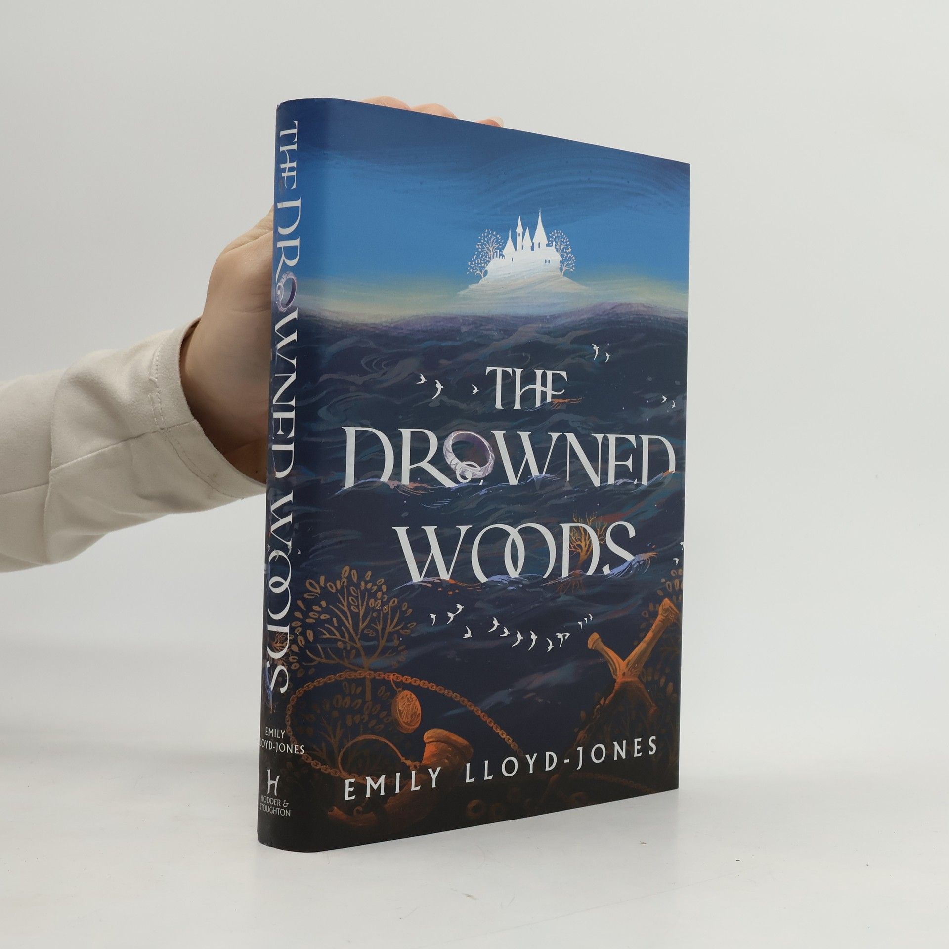 Emily Lloyd-Jones The Drowned Woods