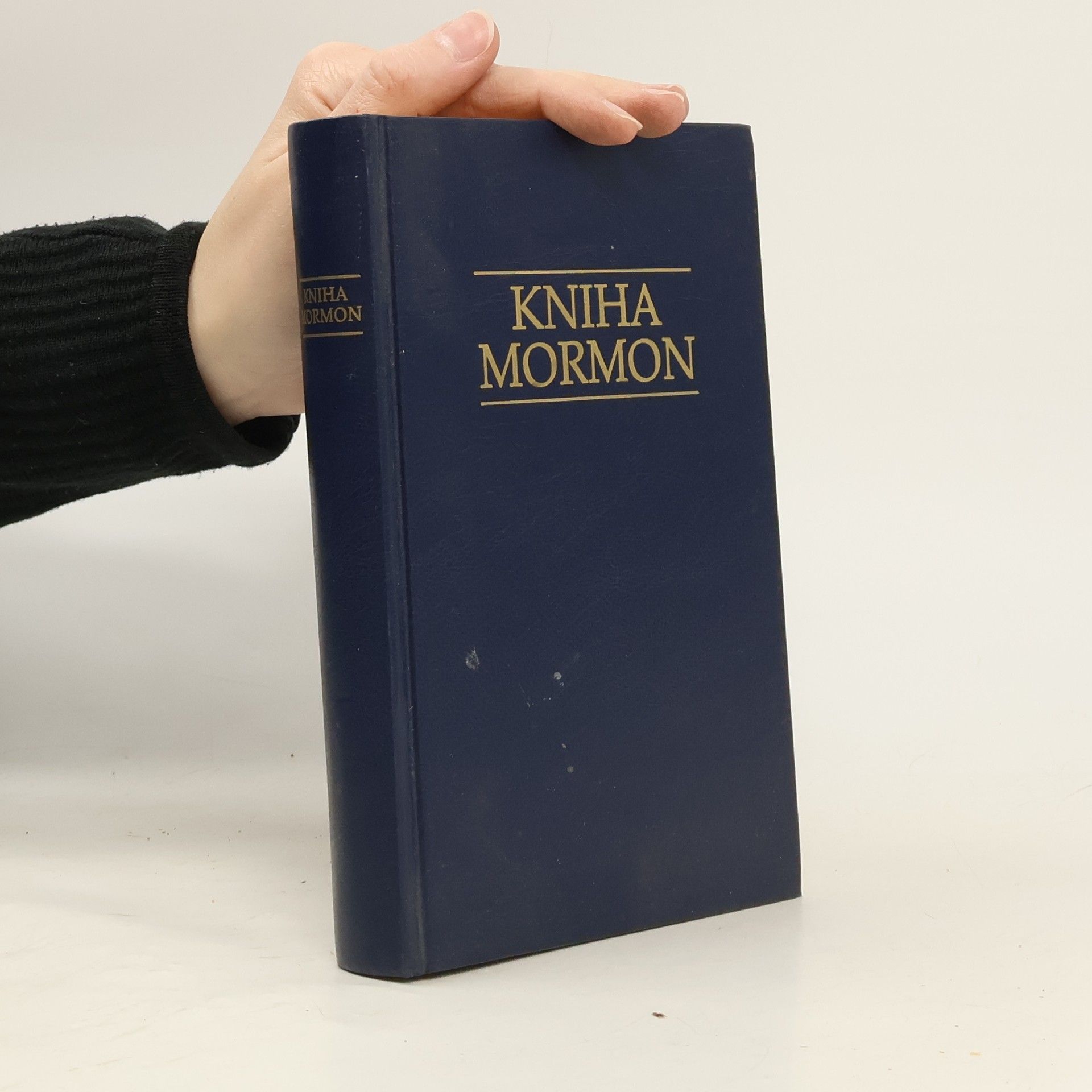 Kolektiv autorů Kniha Mormon