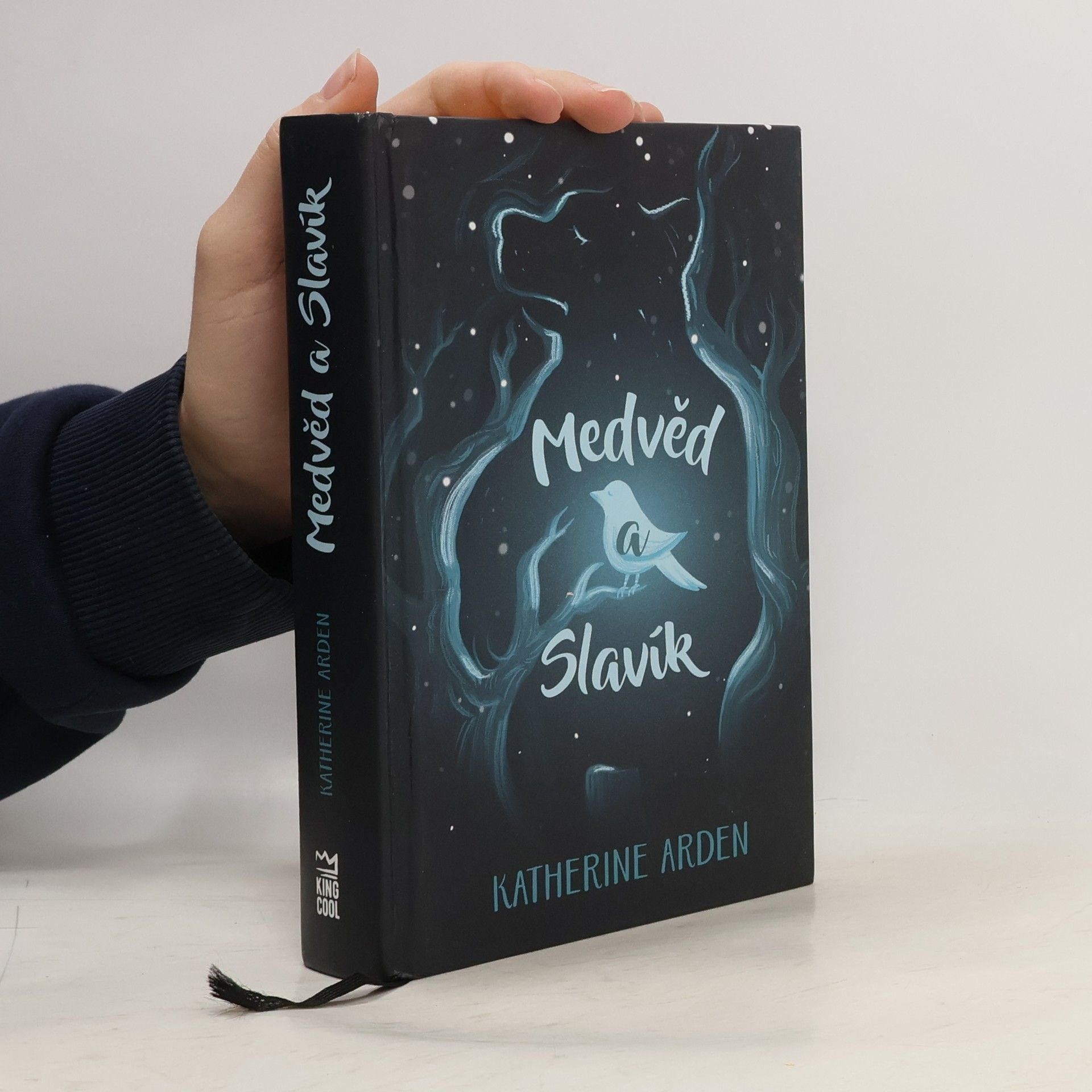 Katherine Arden Medvěd a Slavík