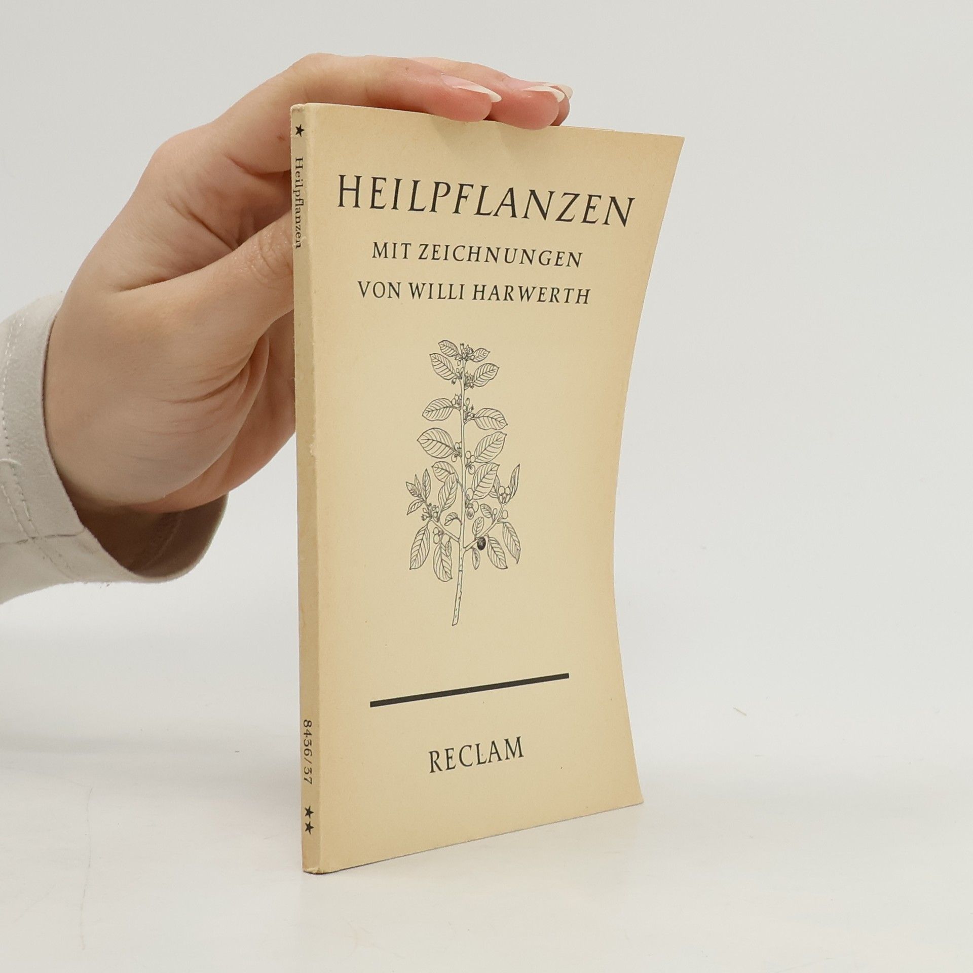 Willi Harwerth Heilpflanzen mit zeichnungen