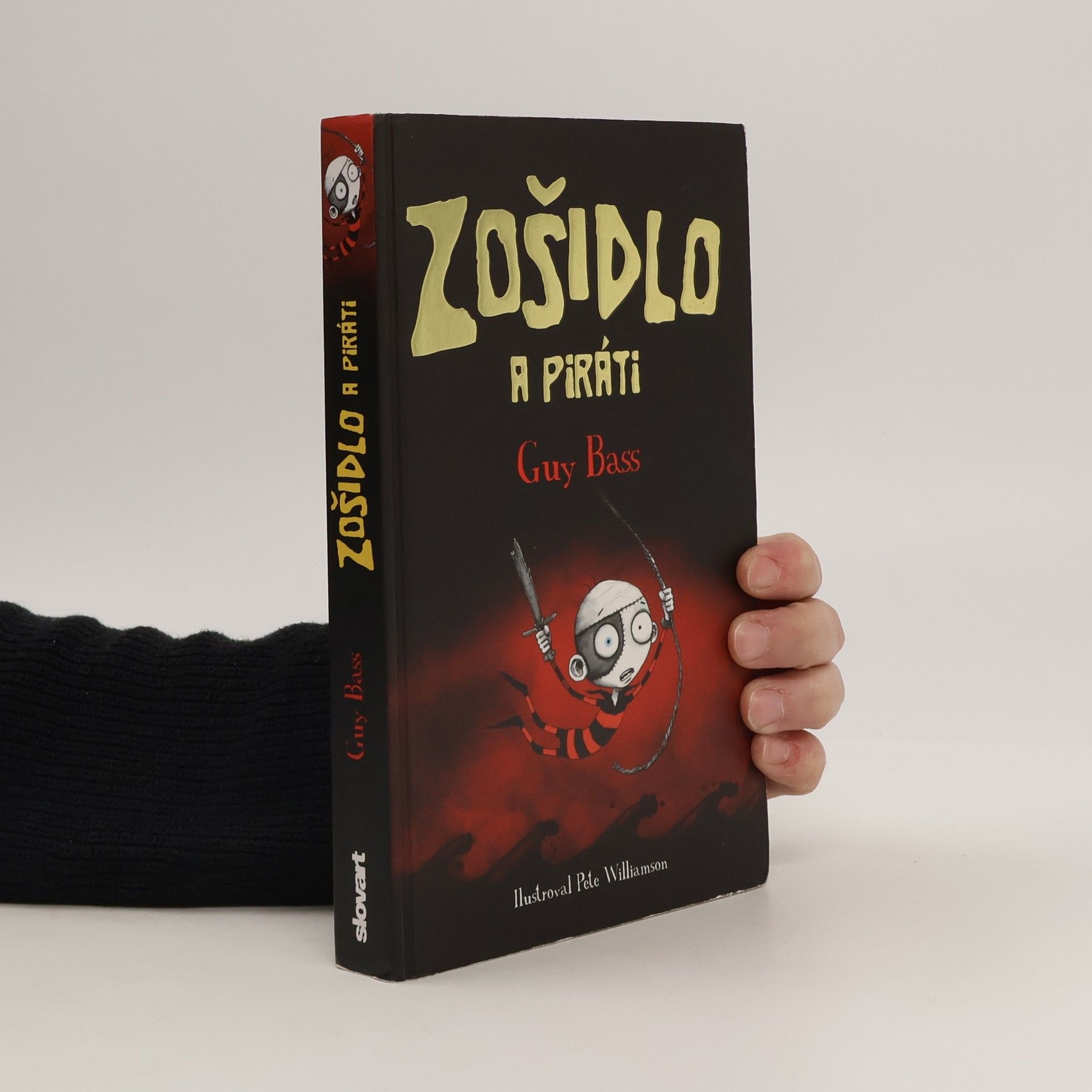 Guy Bass Zošidlo a piráti