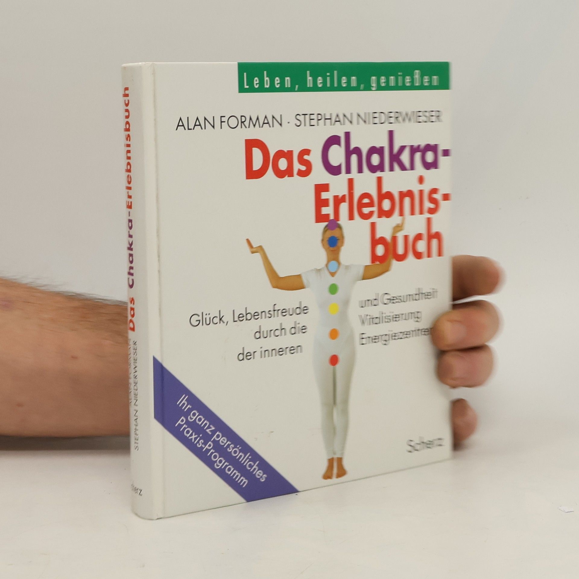 Alan Forman Das Chakra-Erlebnisbuch