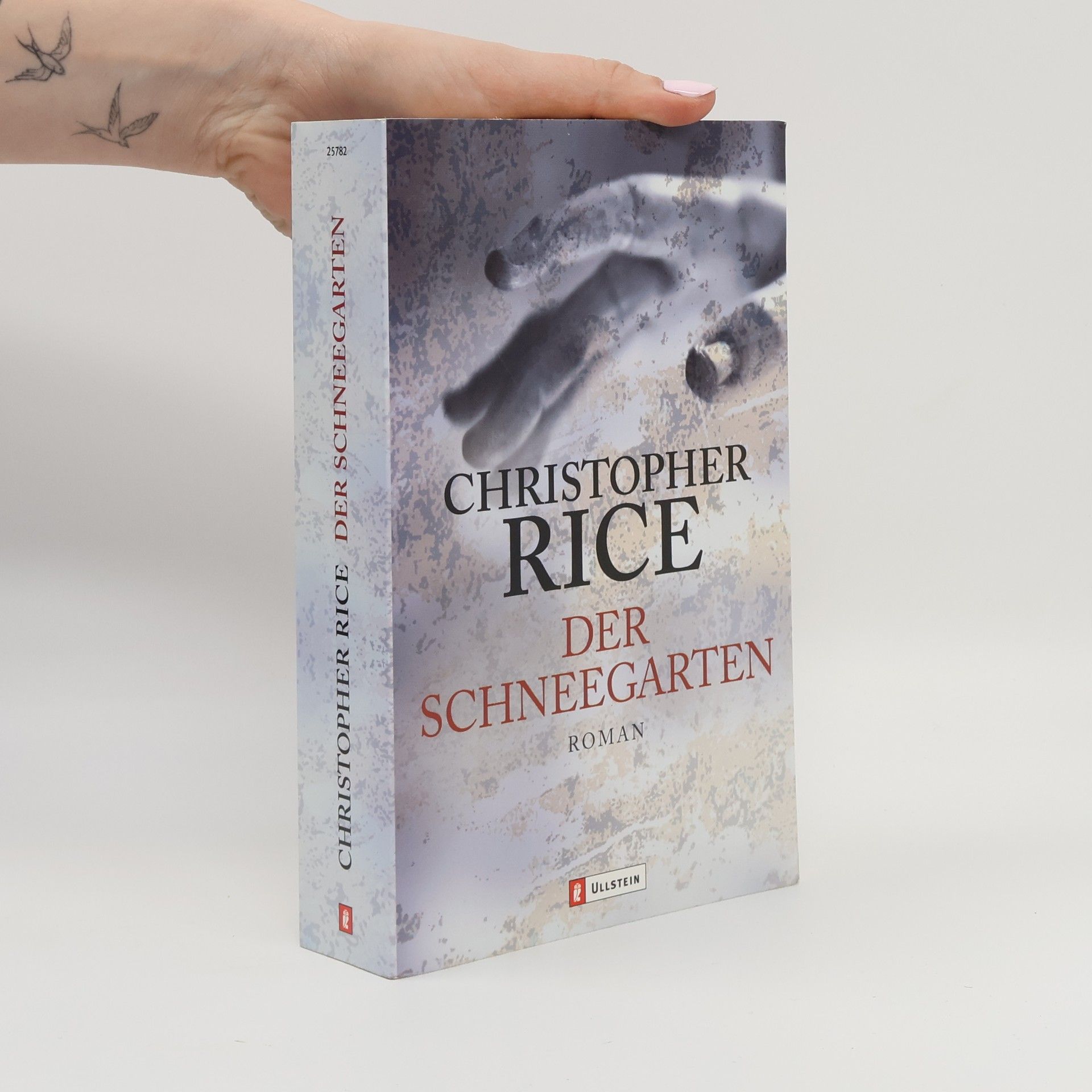 Christopher Rice Der Schneegarten