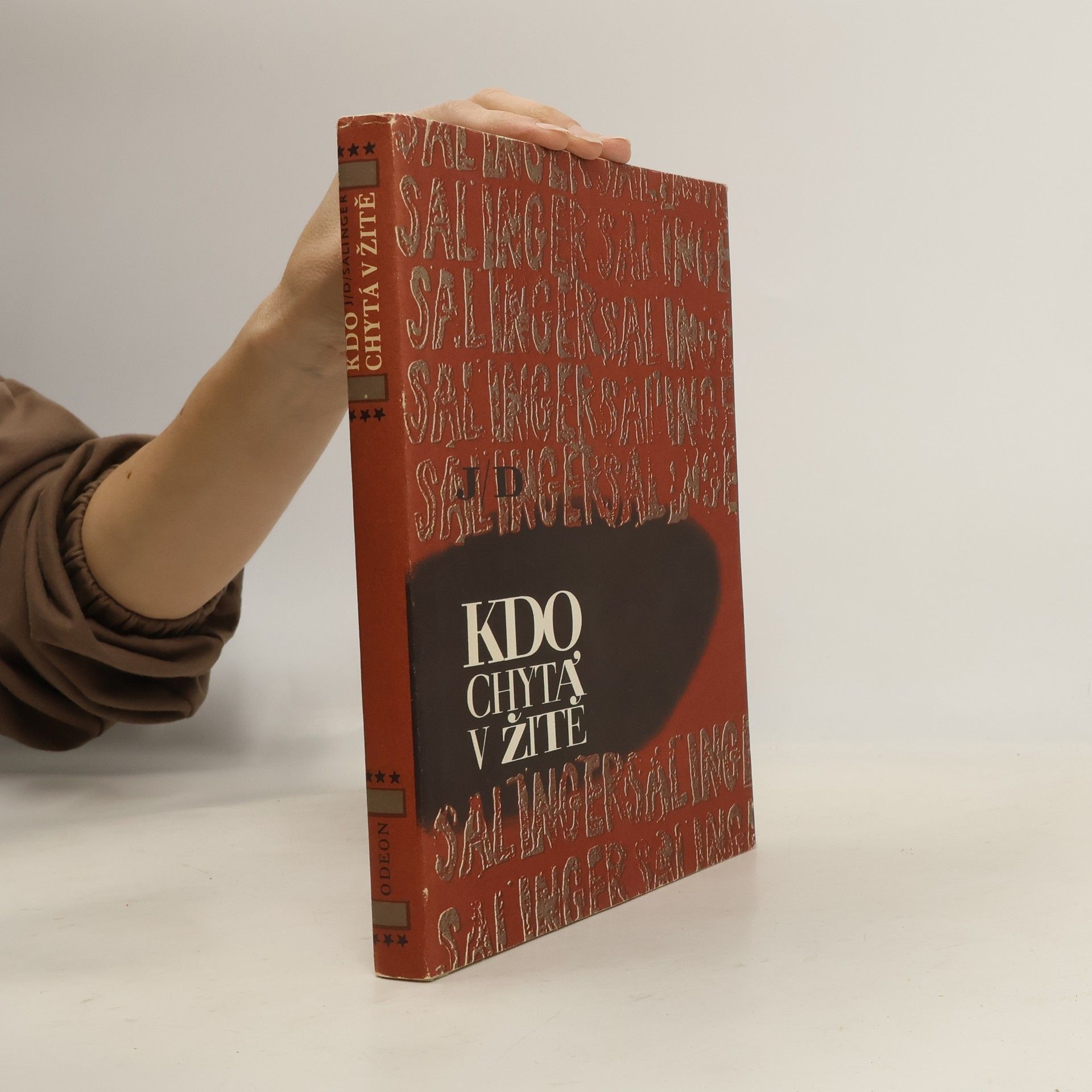 J. D. Salinger Kdo chytá v žitě